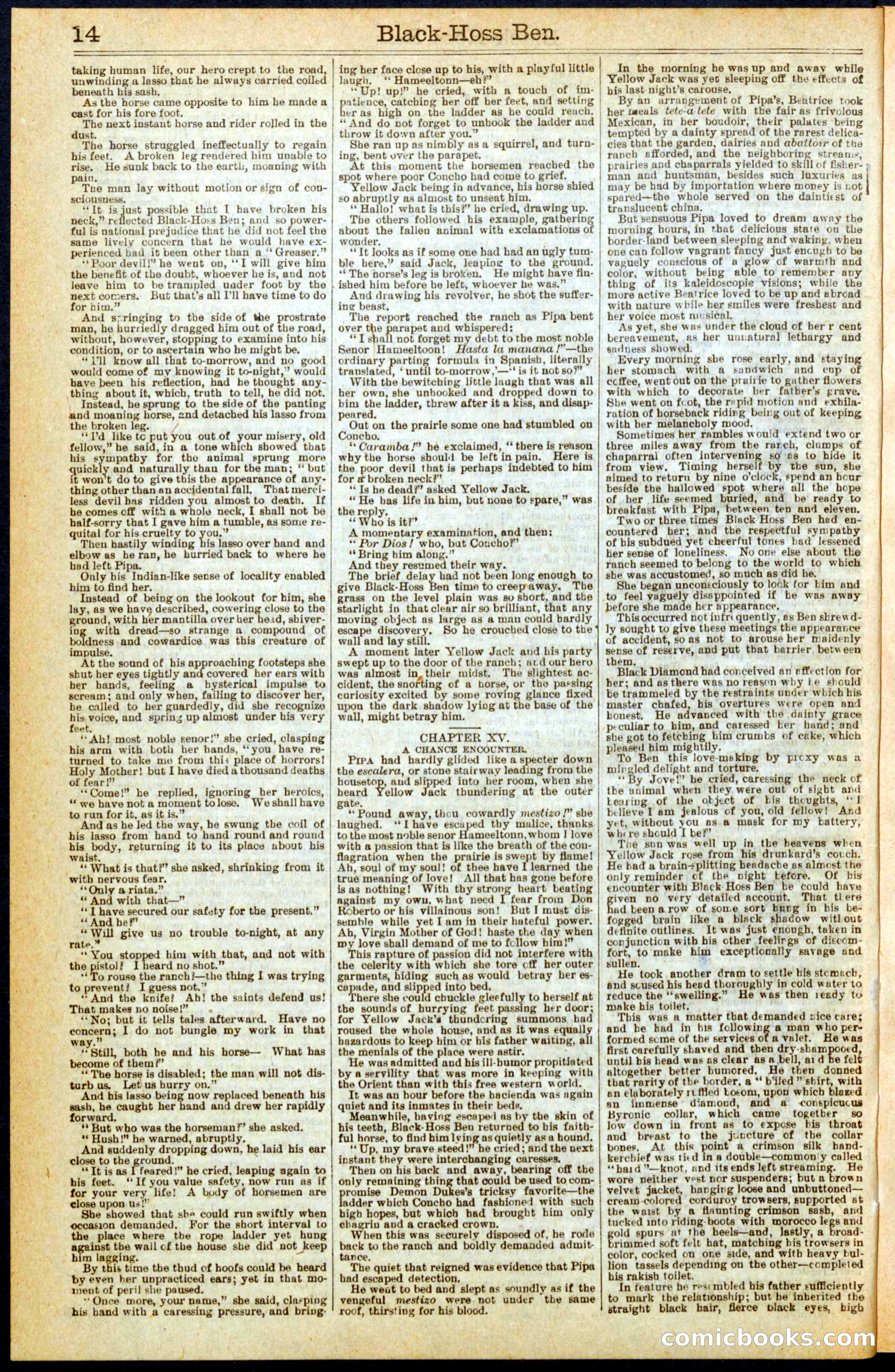 Beadle's Dime Library No. 280 — page 14 of 32