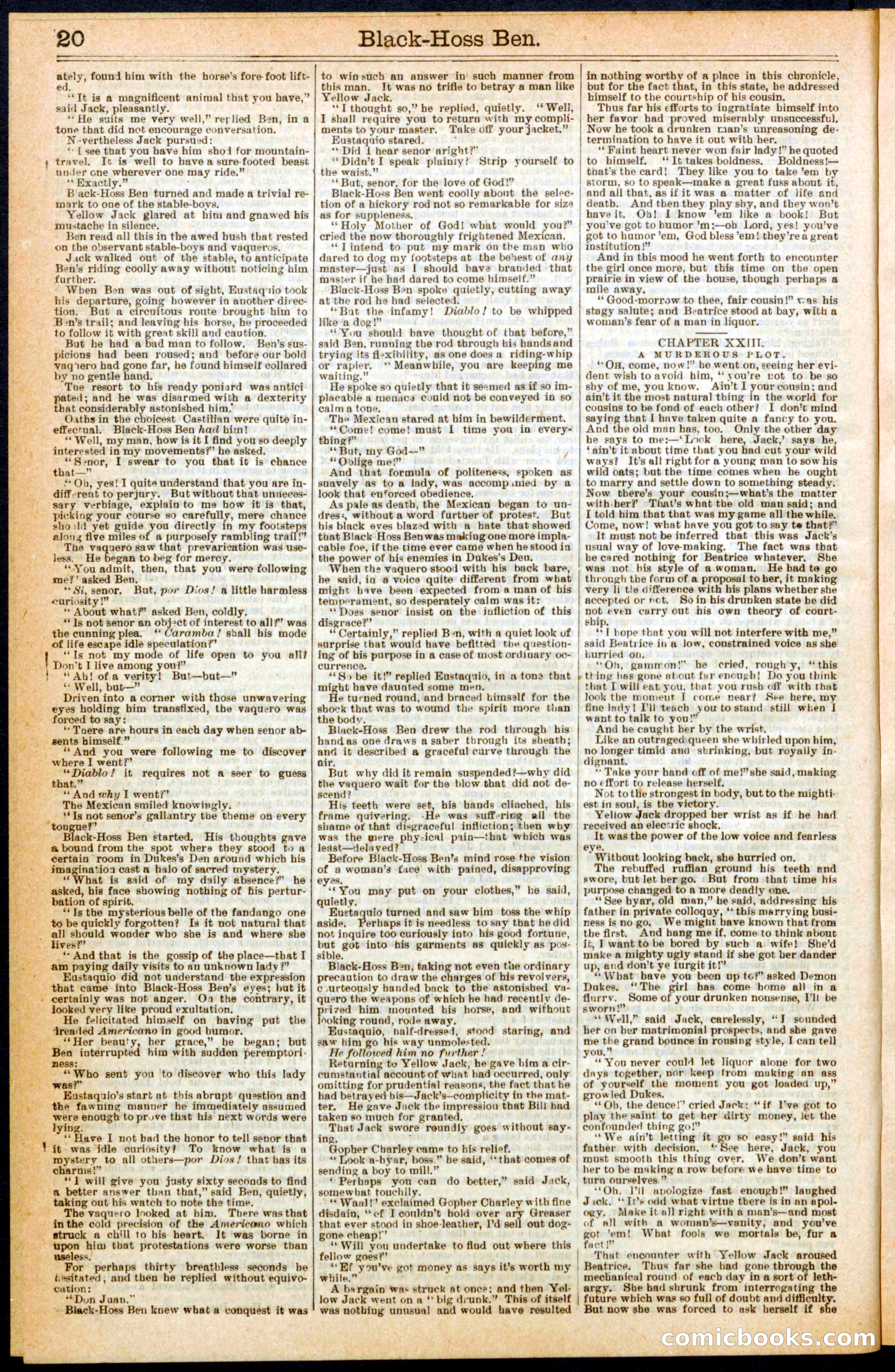 Beadle's Dime Library No. 280 — page 20 of 32