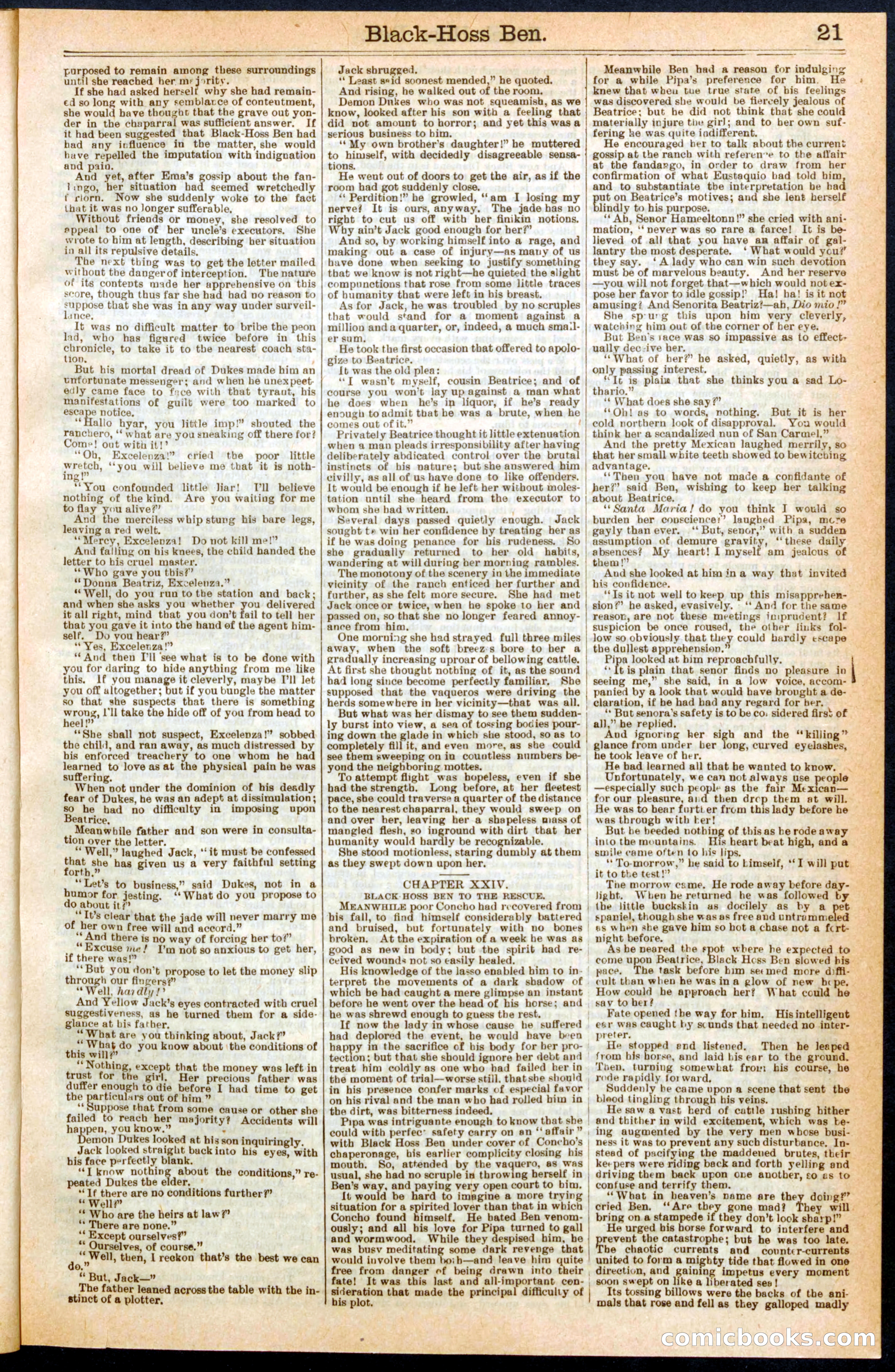 Beadle's Dime Library No. 280 — page 21 of 32