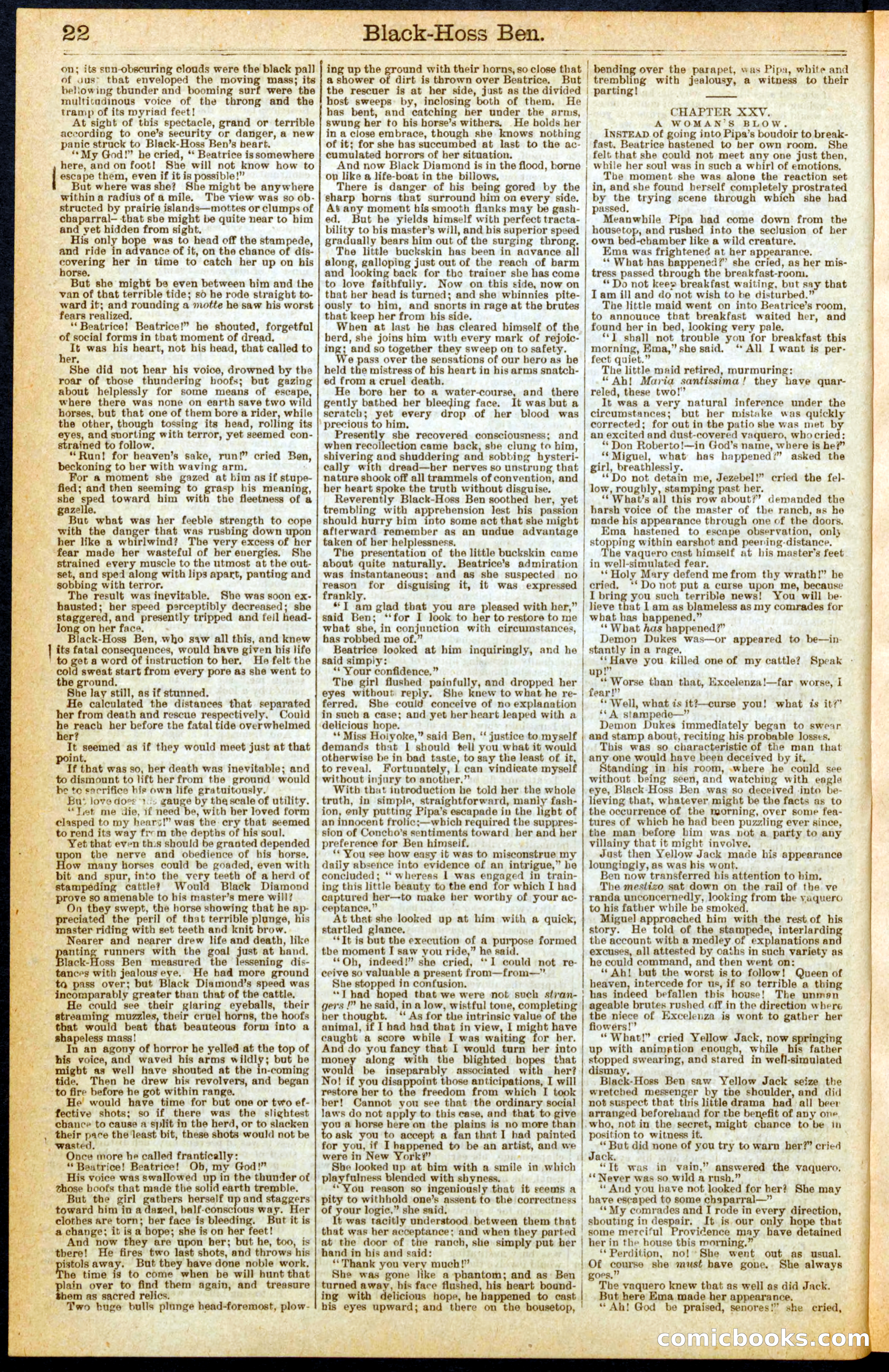 Beadle's Dime Library No. 280 — page 22 of 32