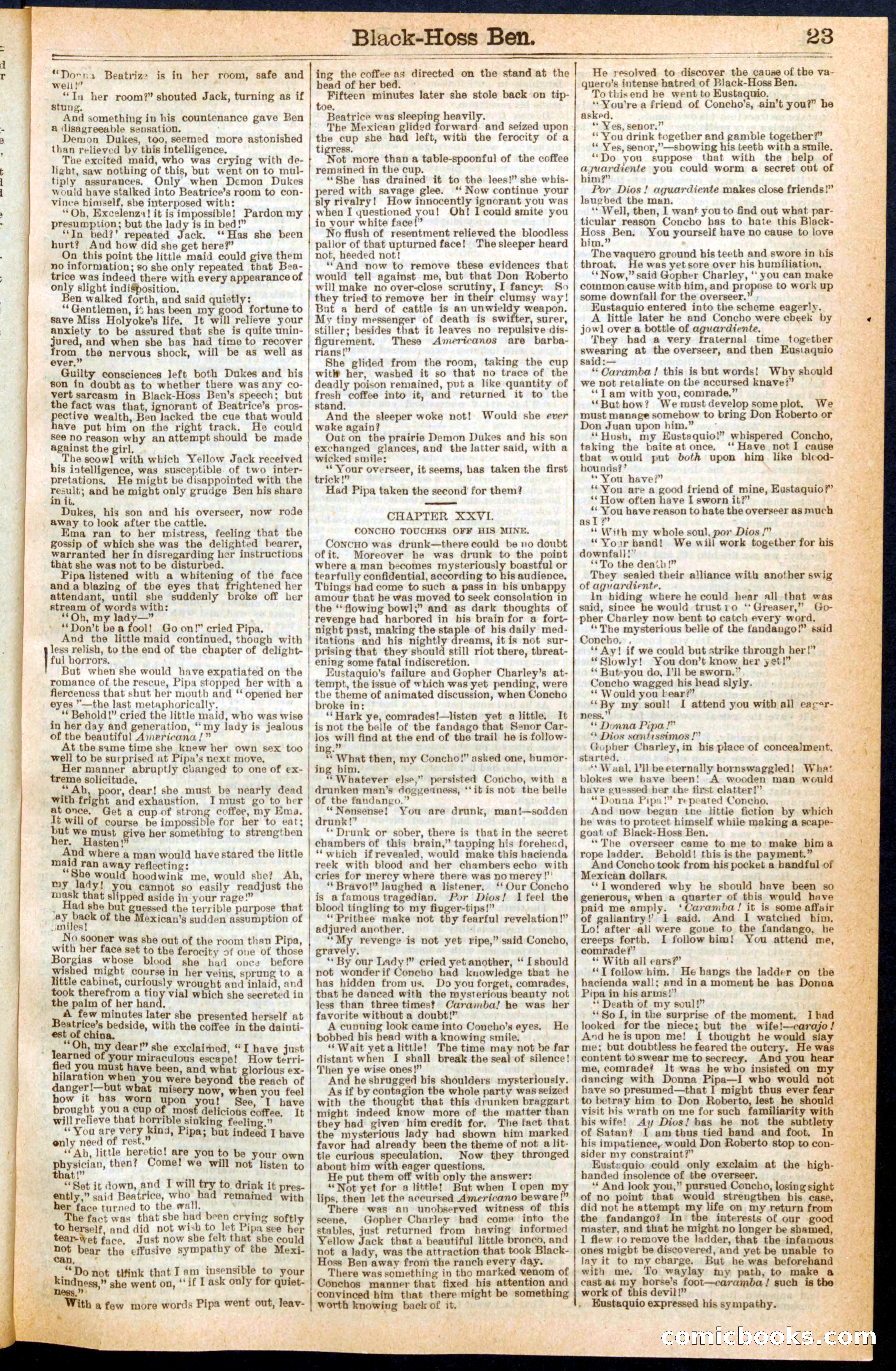 Beadle's Dime Library No. 280 — page 23 of 32