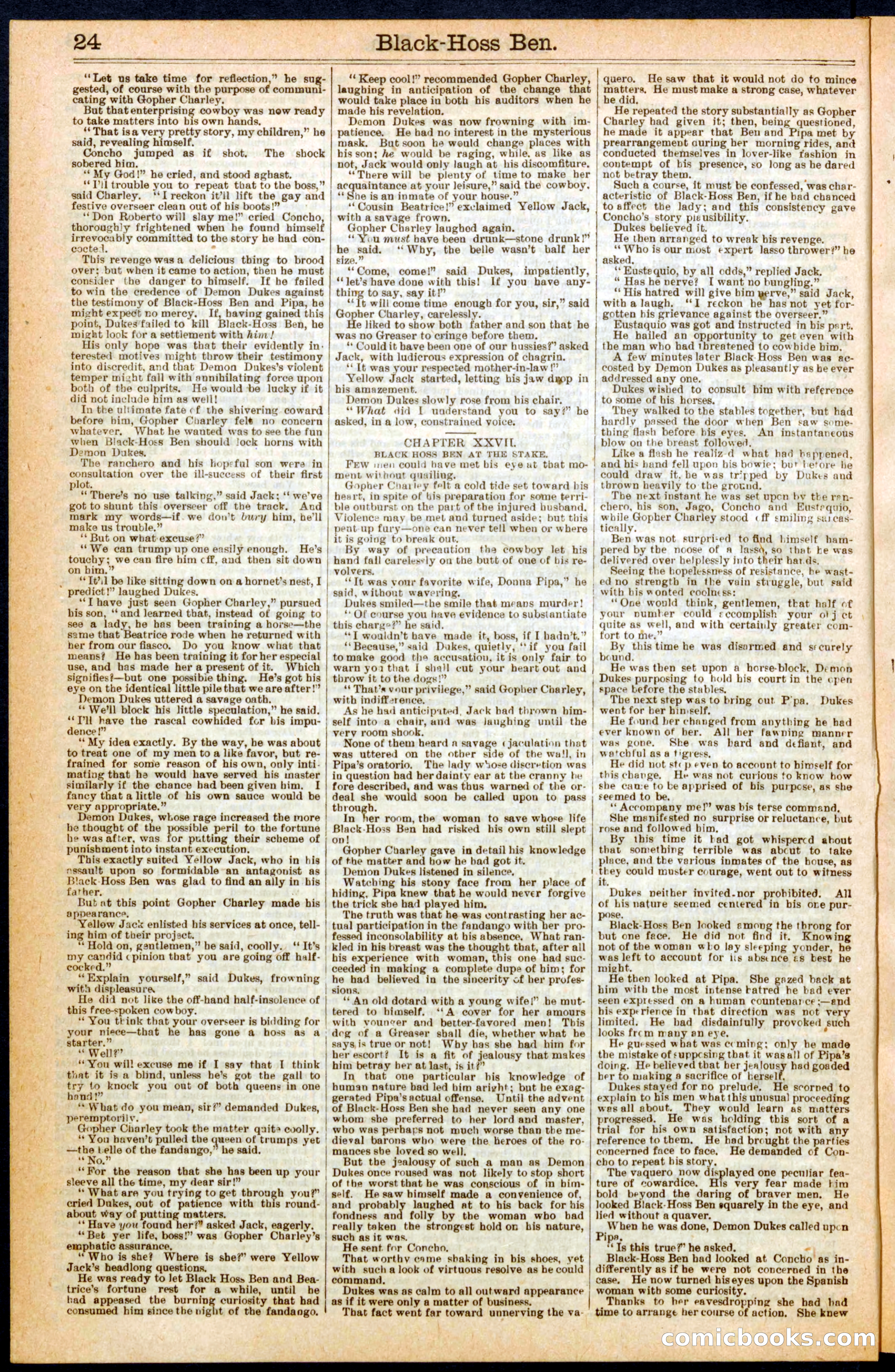 Beadle's Dime Library No. 280 — page 24 of 32