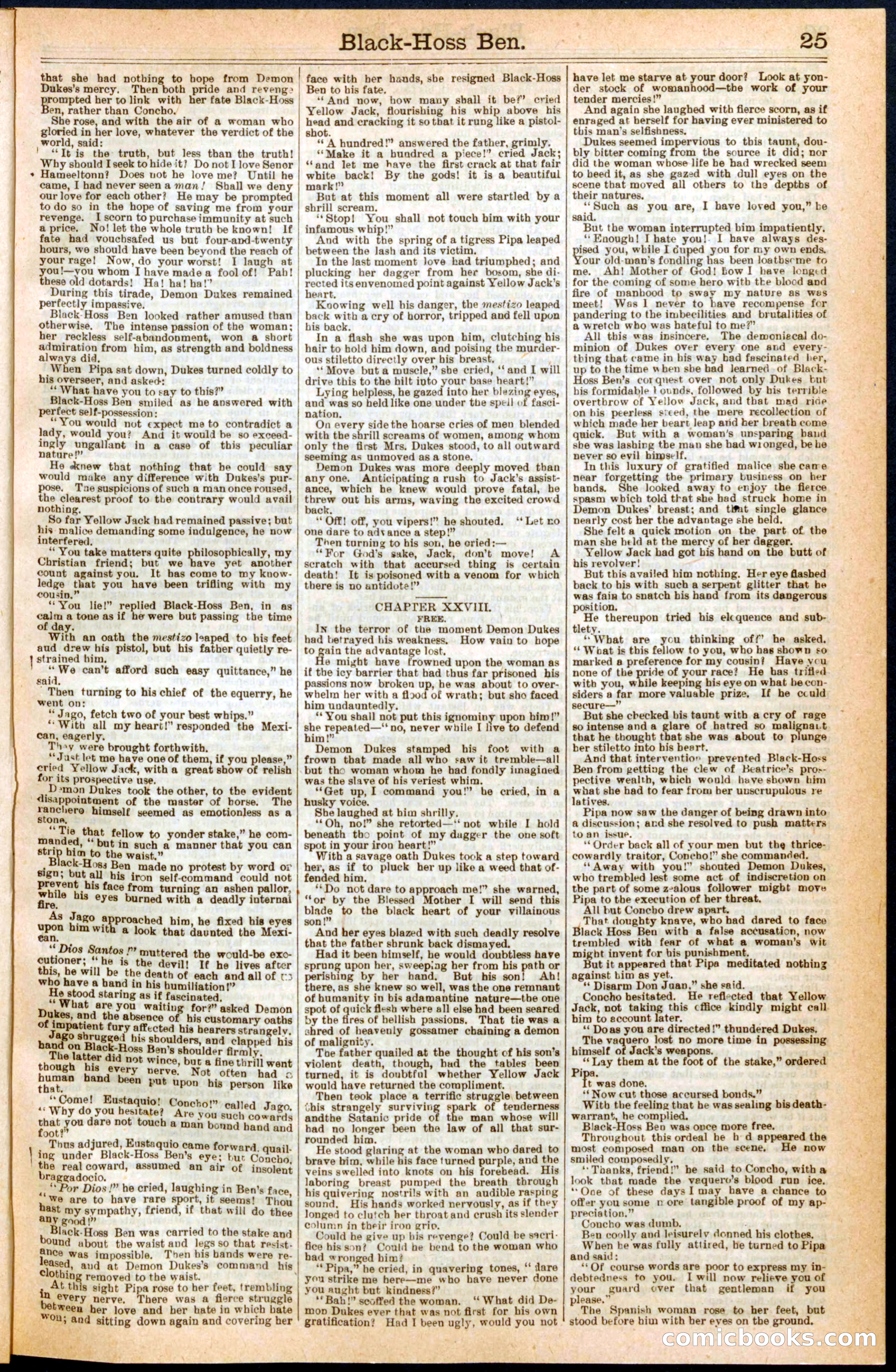 Beadle's Dime Library No. 280 — page 25 of 32