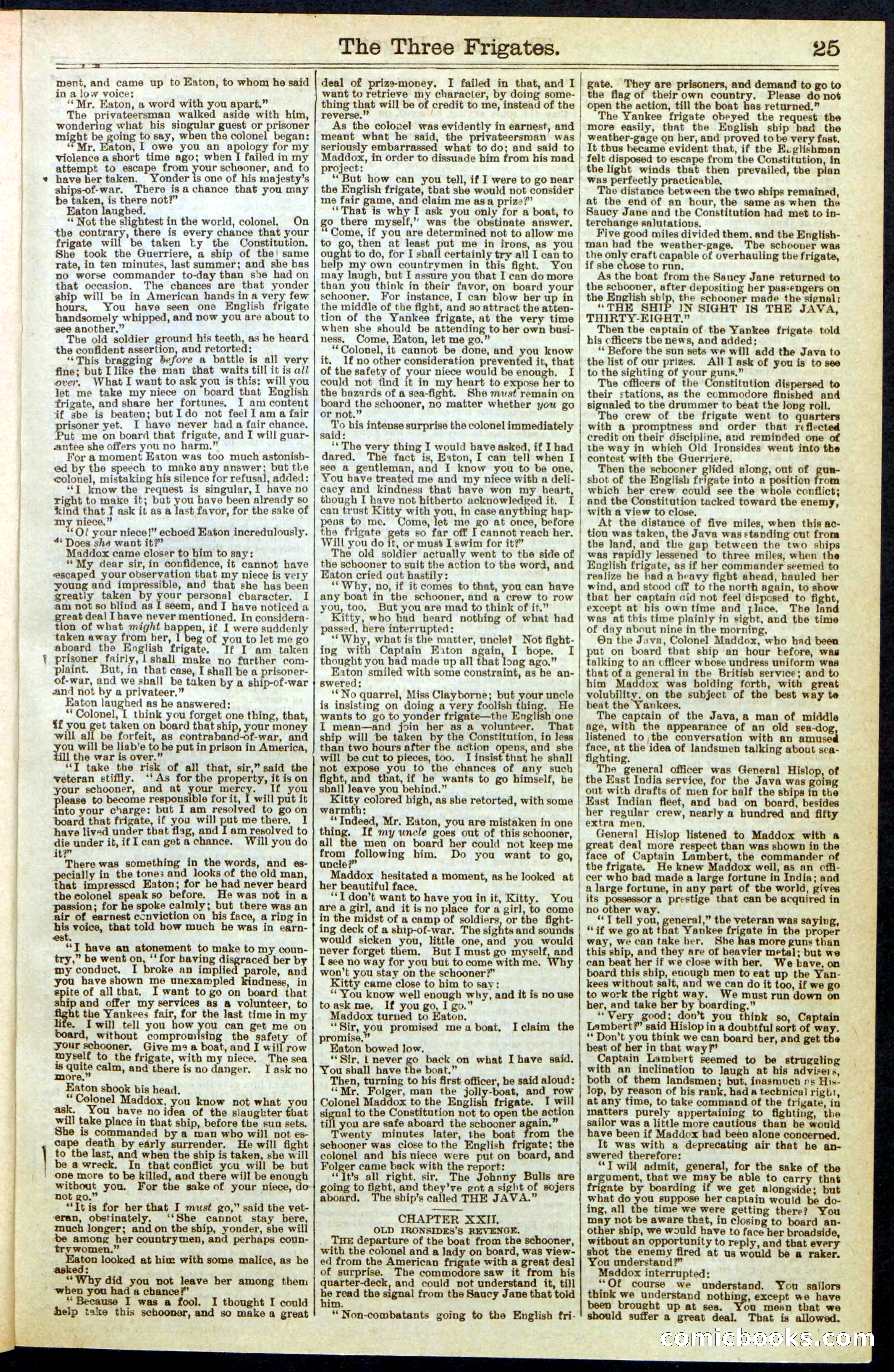 Beadle's New York Dime Library, No. 284 — page 25 of 32