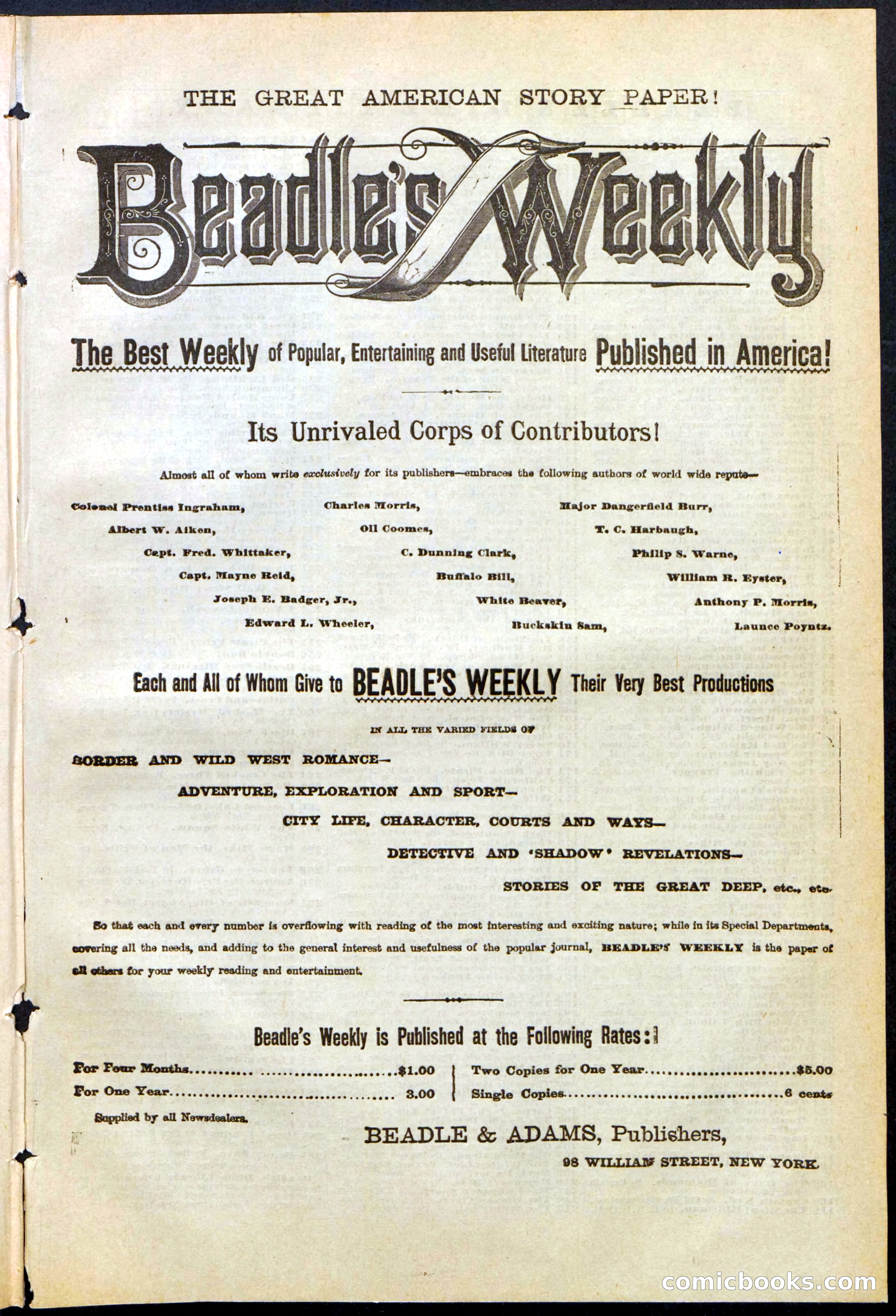 Beadle's New York Dime Library, No. 284 — page 31 of 32