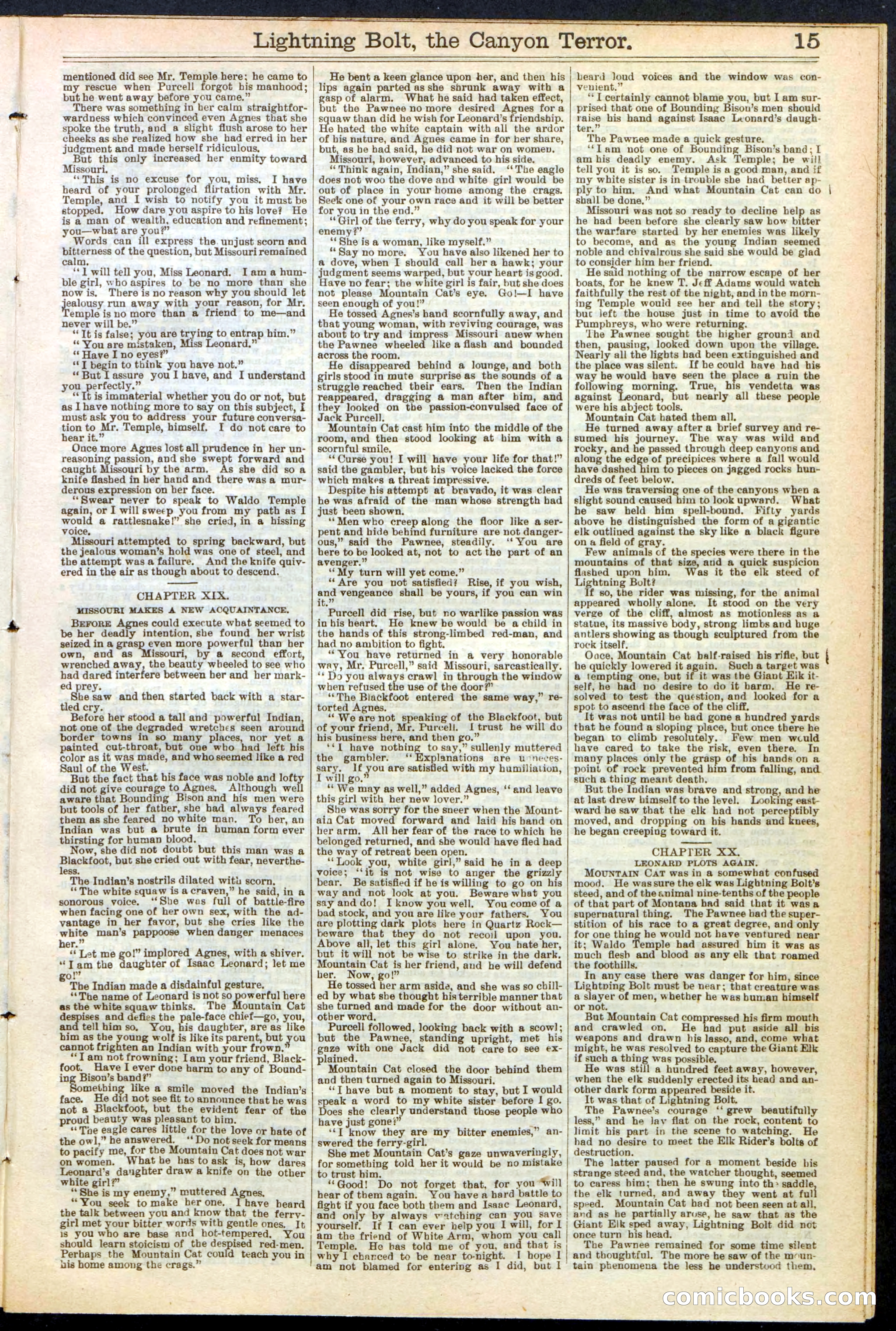 Beadle's Dime Library No. 285 — page 15 of 32