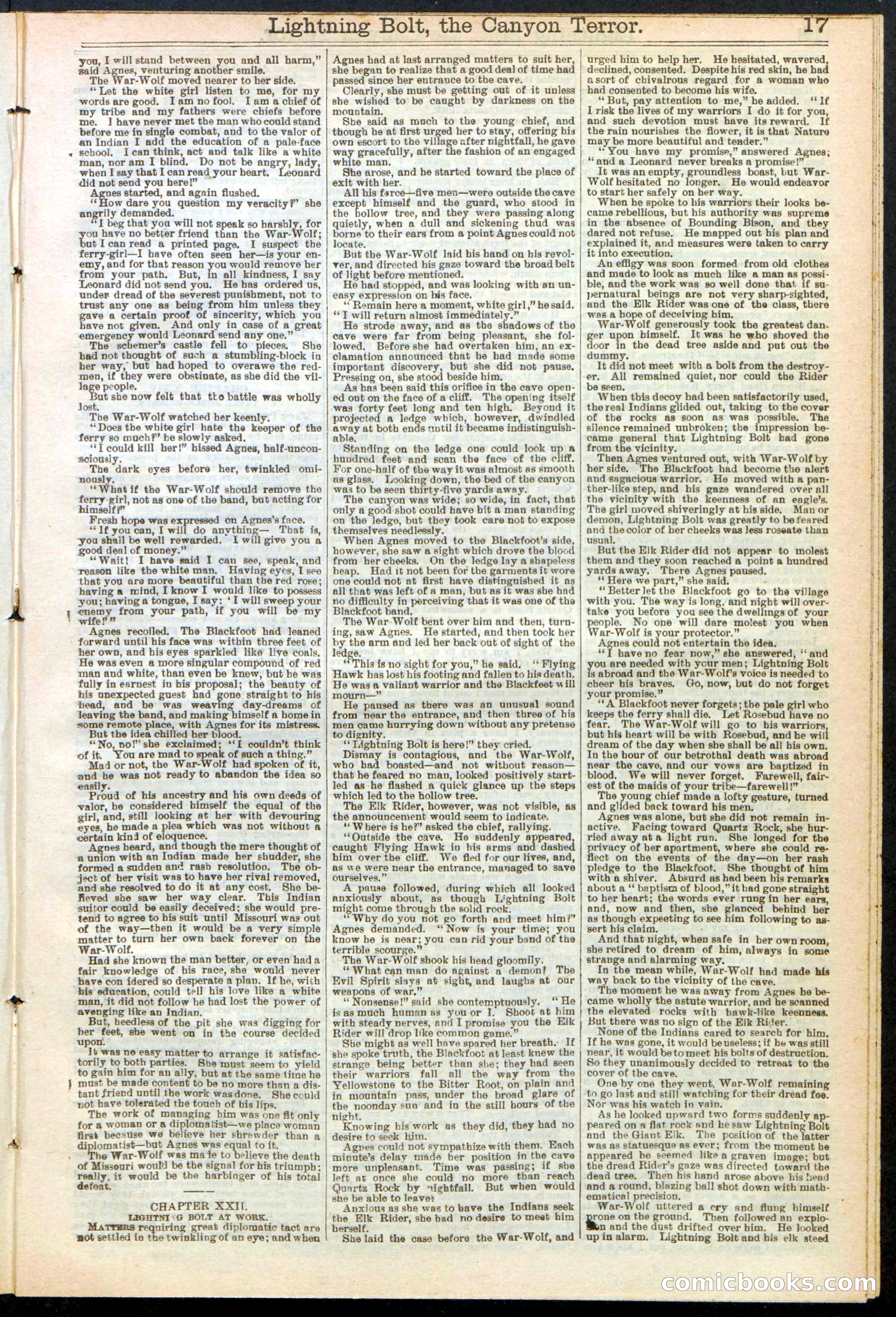 Beadle's Dime Library No. 285 — page 17 of 32