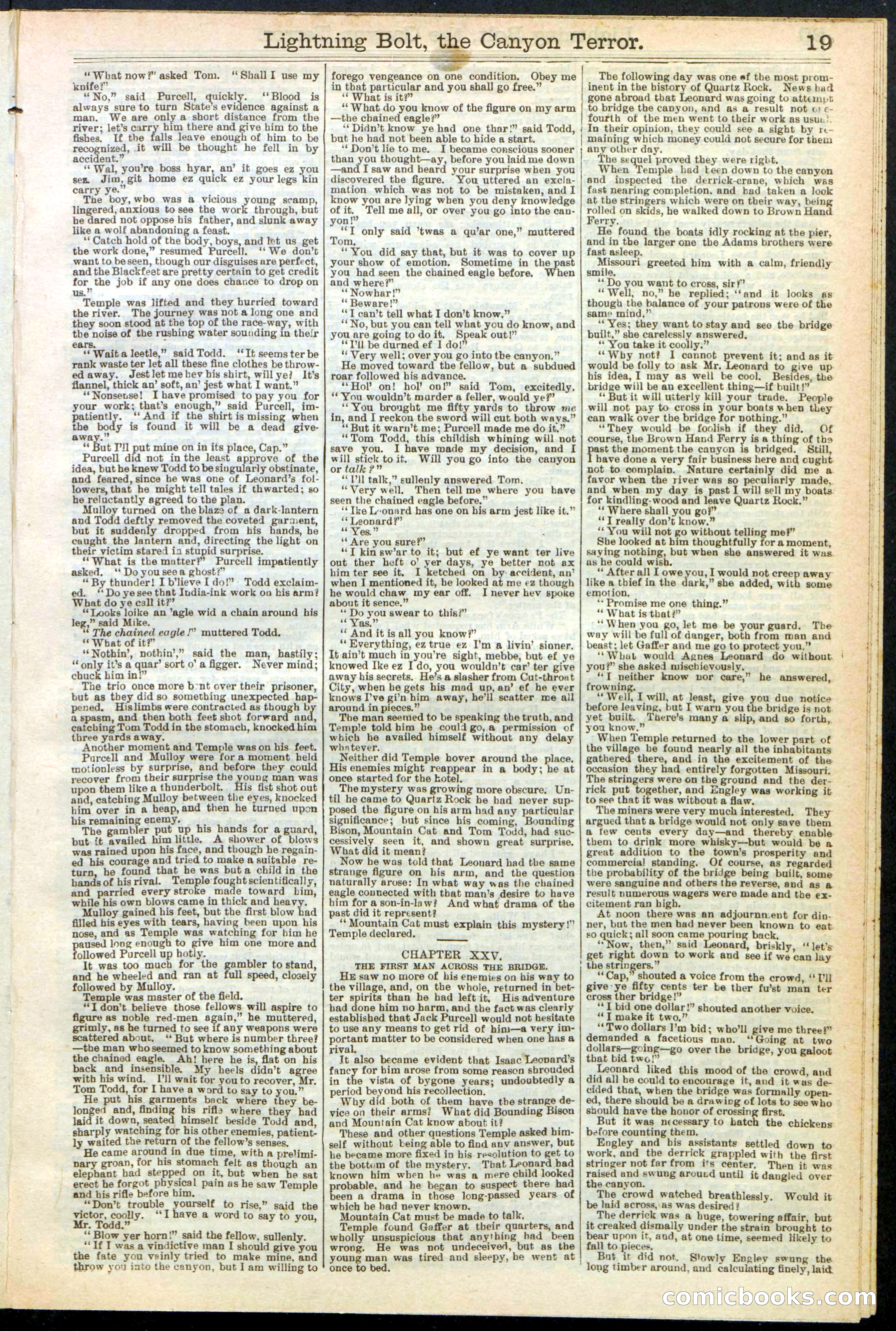 Beadle's Dime Library No. 285 — page 19 of 32