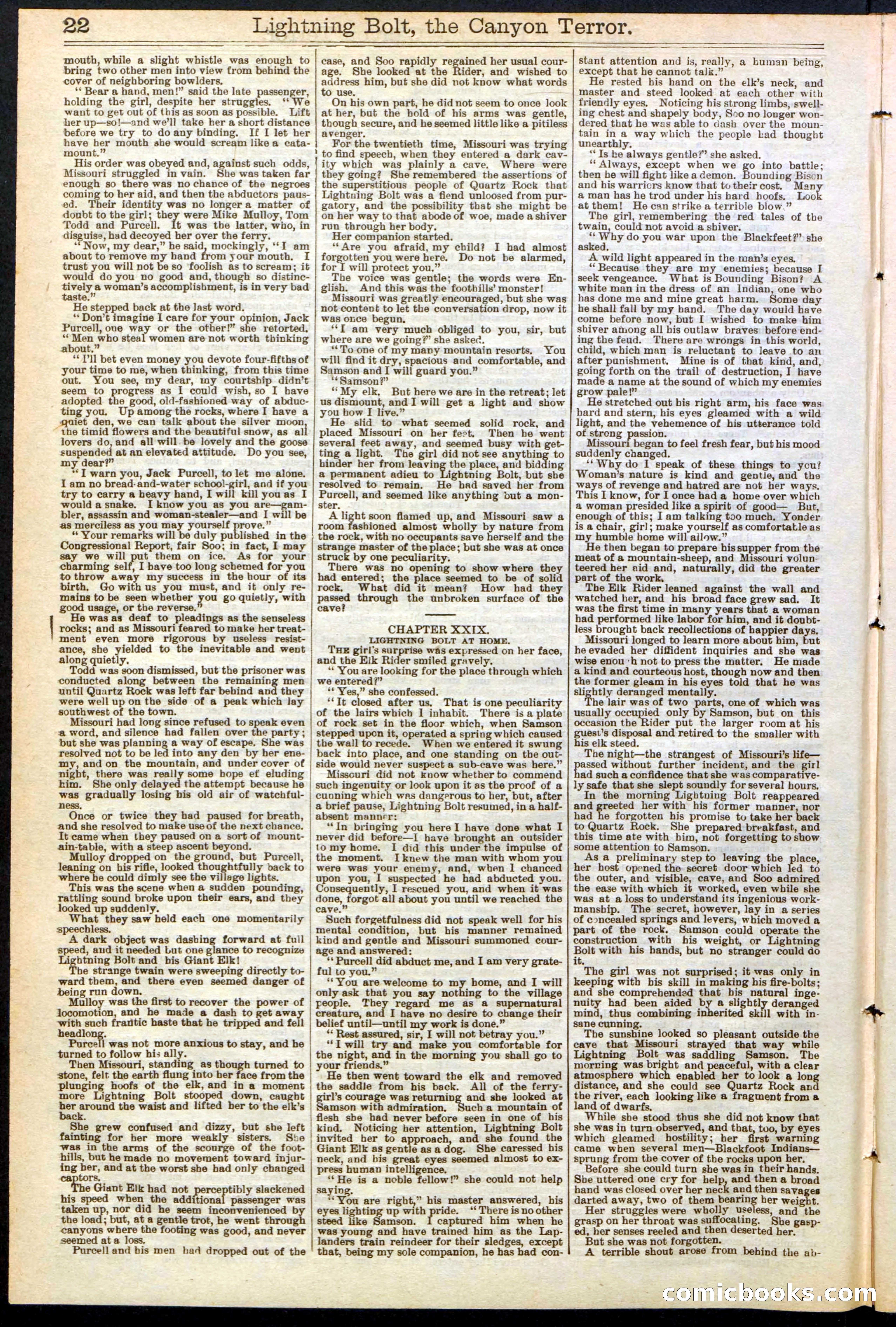 Beadle's Dime Library No. 285 — page 22 of 32