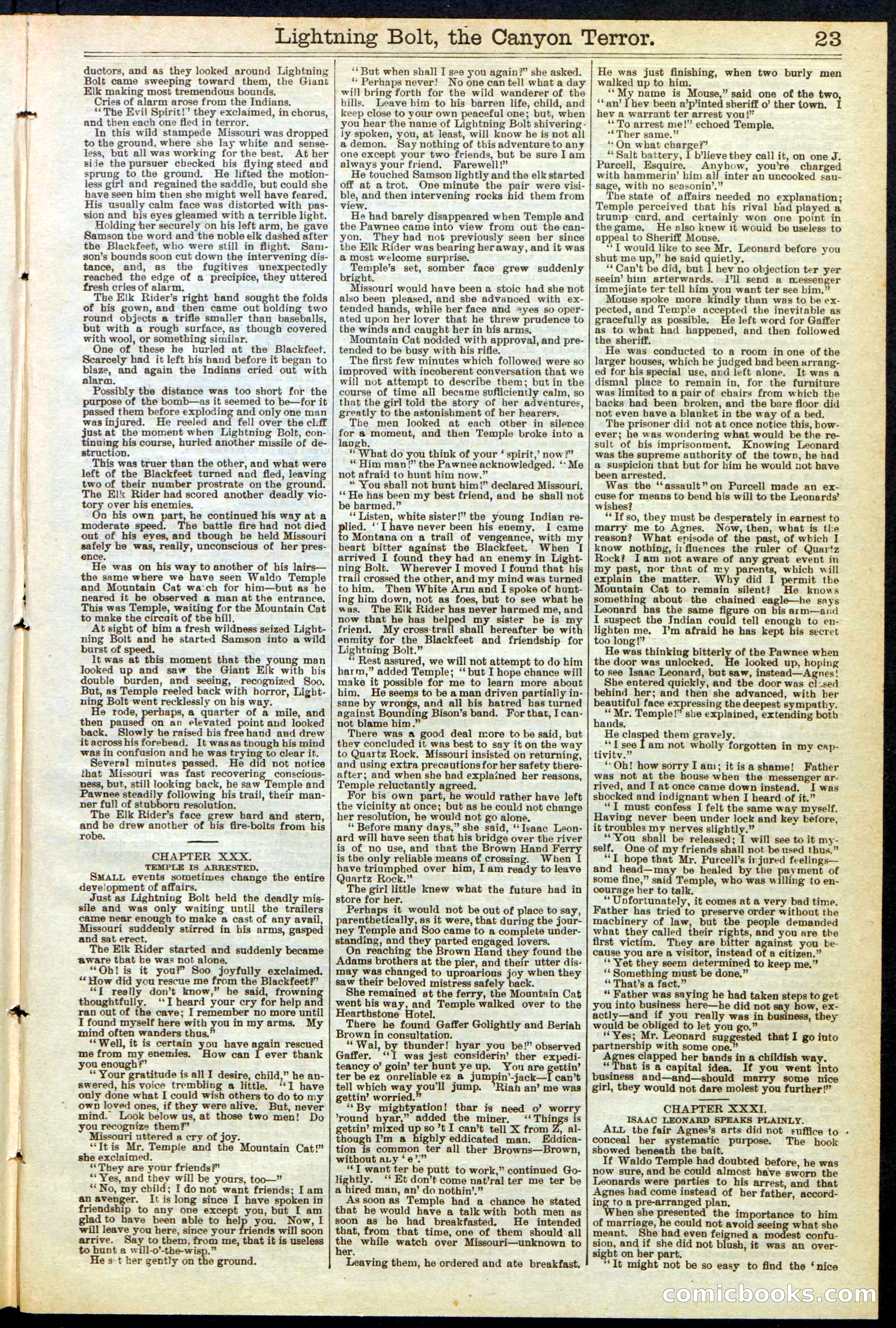 Beadle's Dime Library No. 285 — page 23 of 32