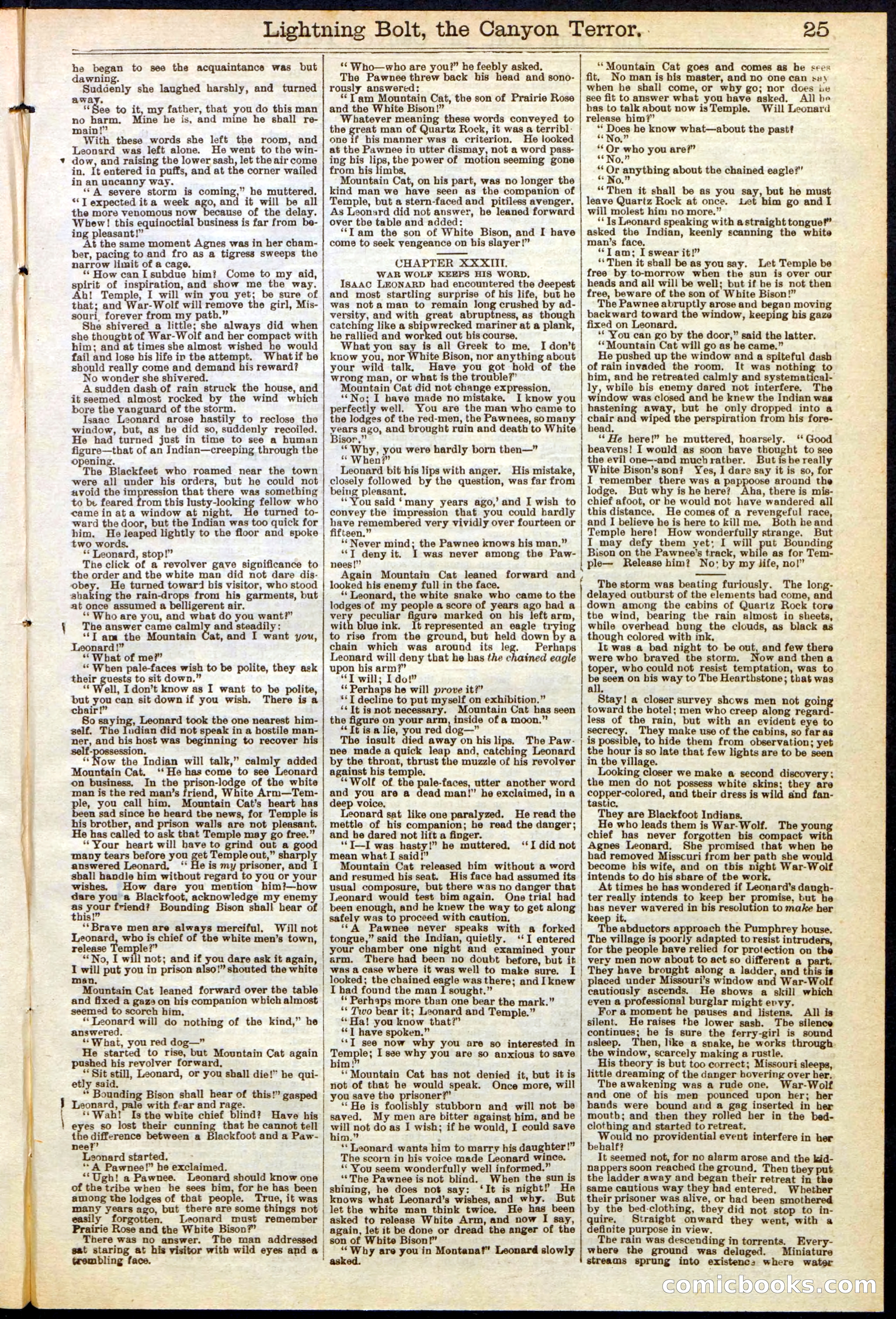 Beadle's Dime Library No. 285 — page 25 of 32