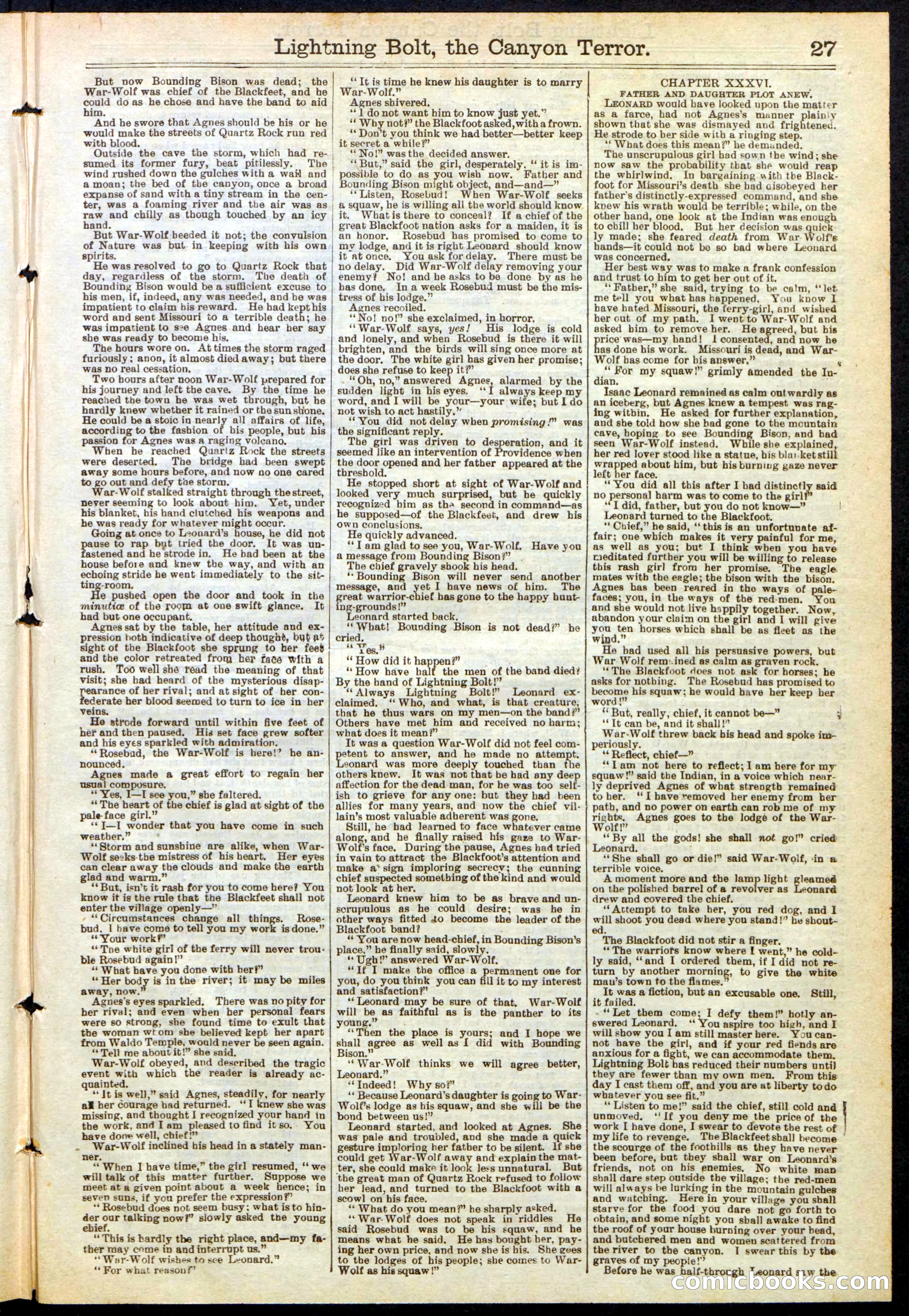 Beadle's Dime Library No. 285 — page 27 of 32