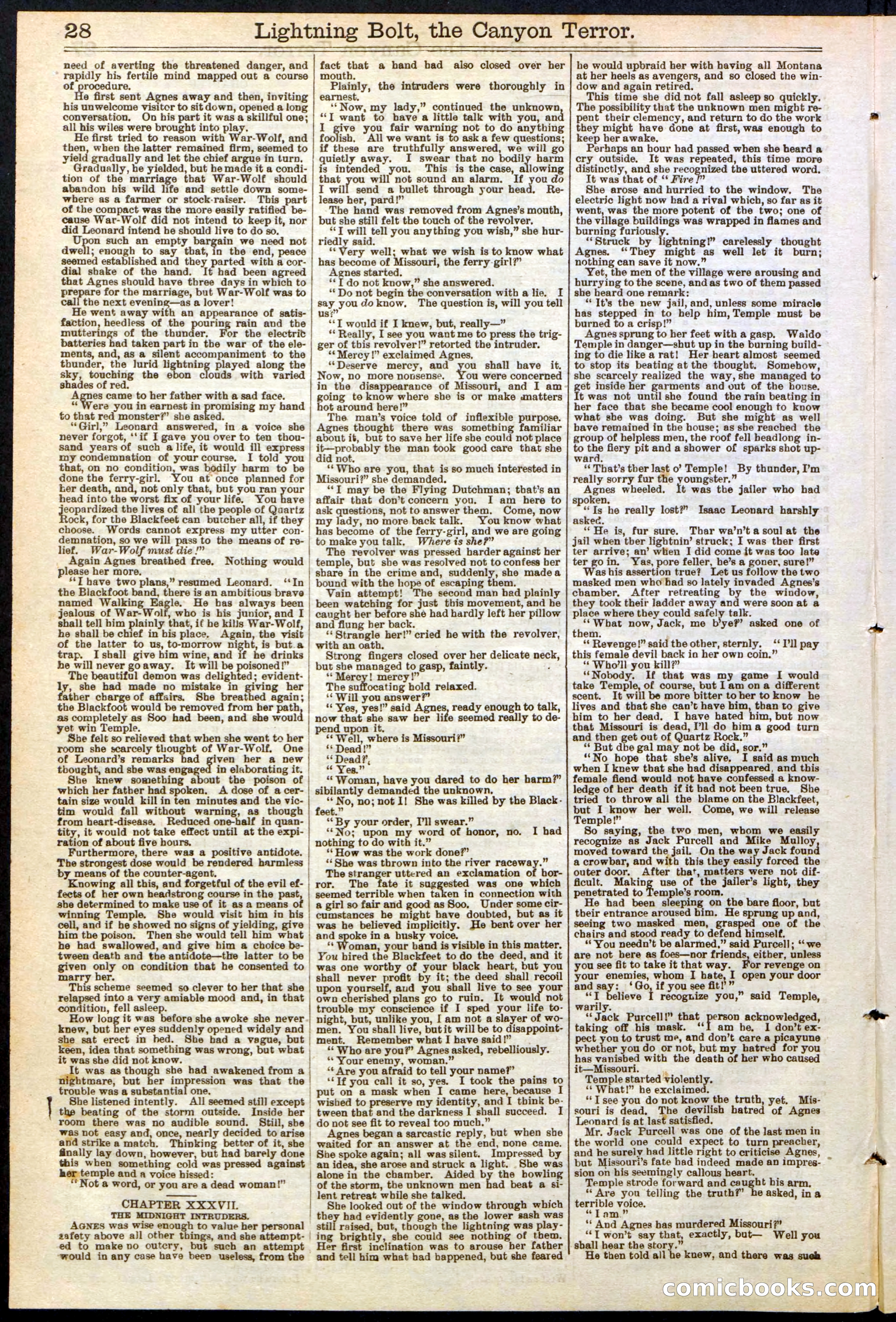 Beadle's Dime Library No. 285 — page 28 of 32