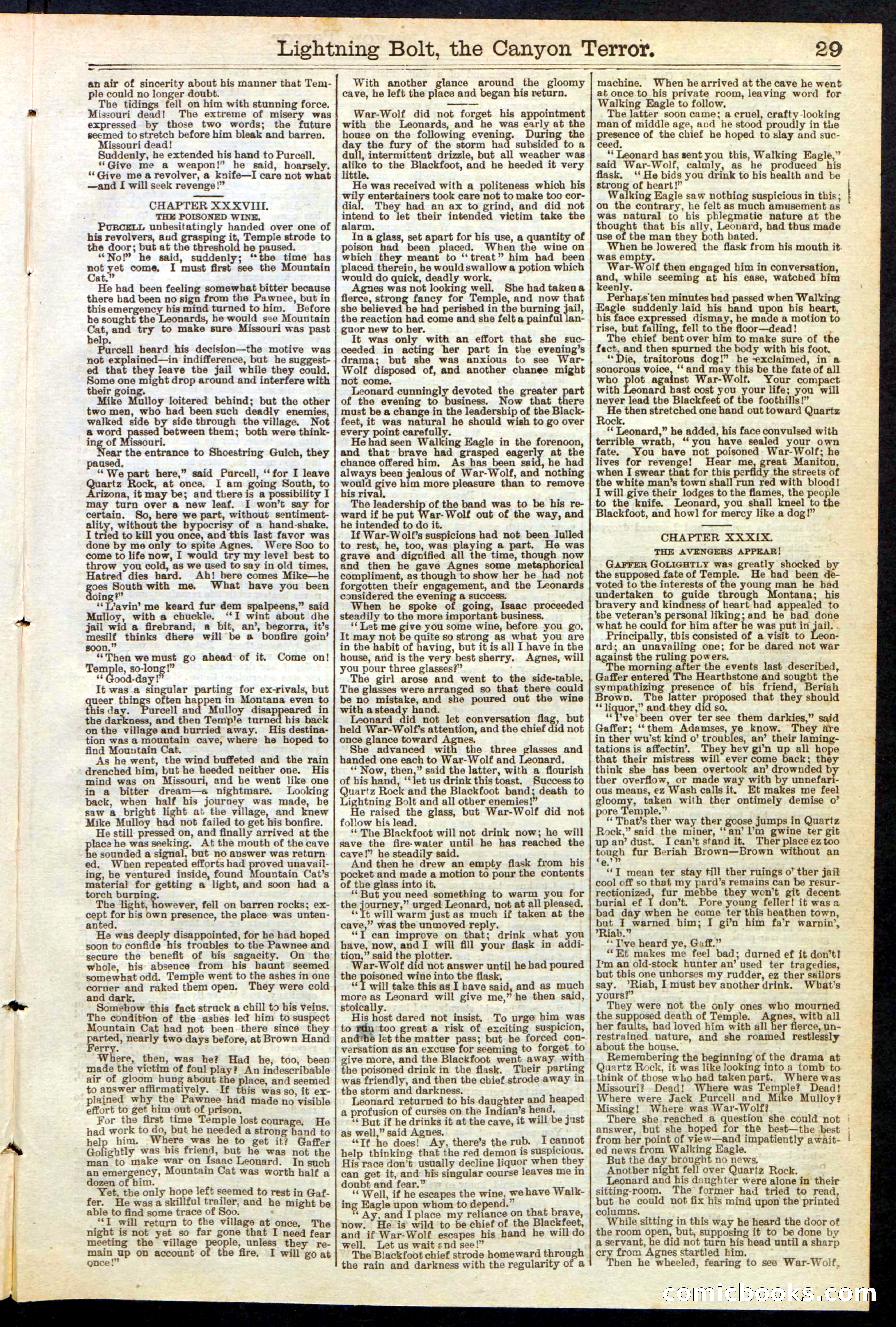 Beadle's Dime Library No. 285 — page 29 of 32