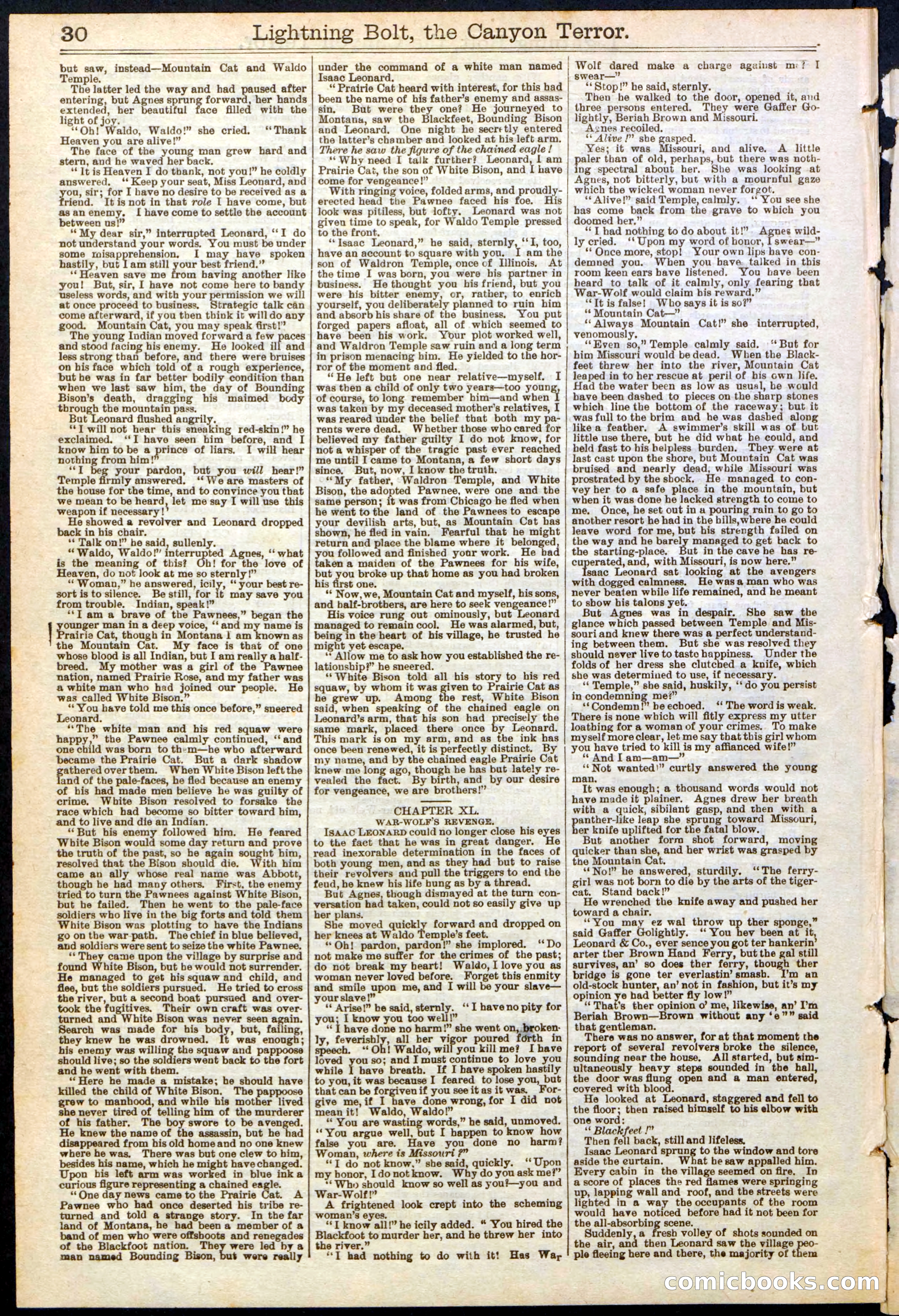 Beadle's Dime Library No. 285 — page 30 of 32
