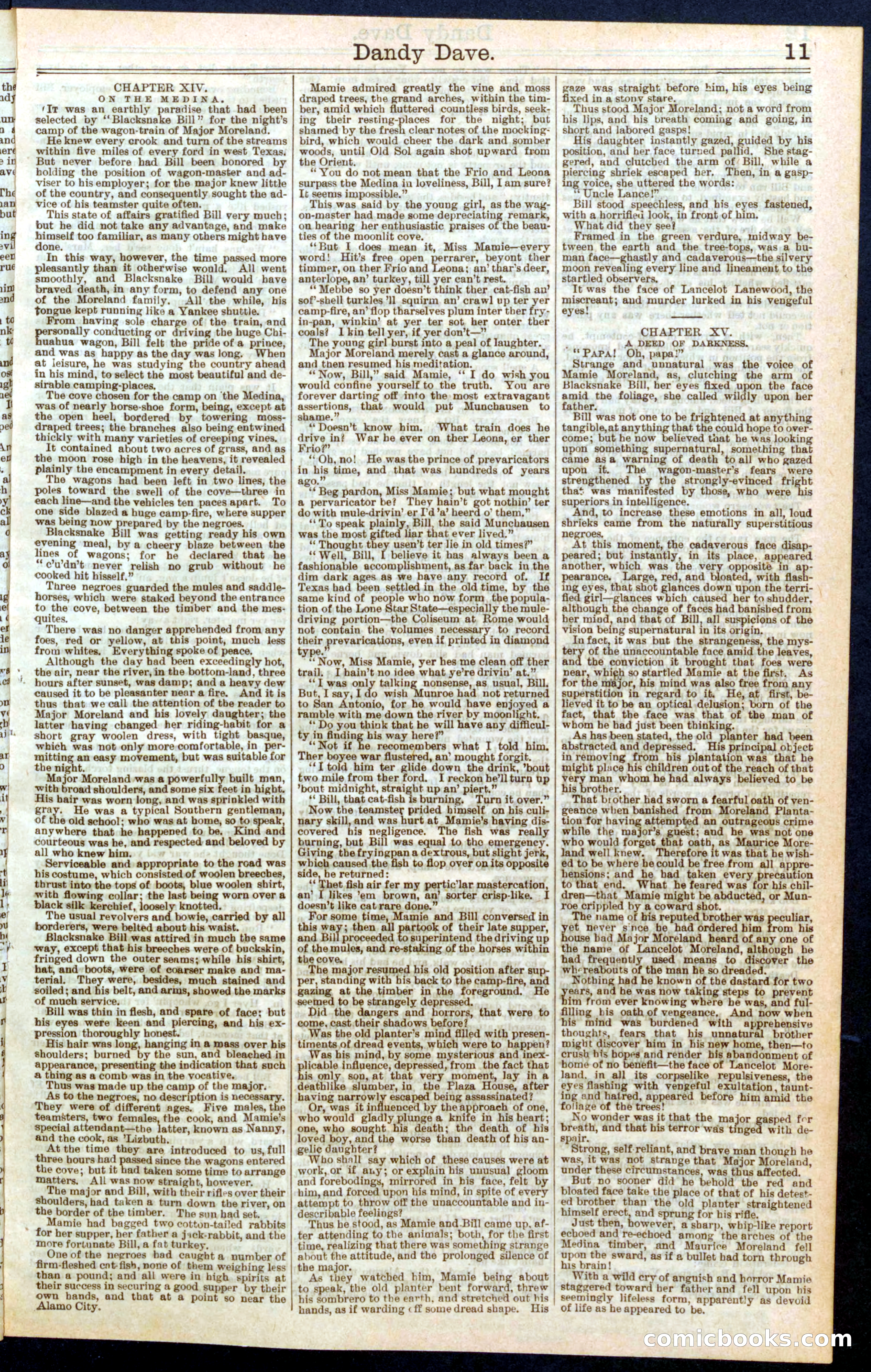 Beadle's New York Dime Library, No. 287 — page 11 of 32
