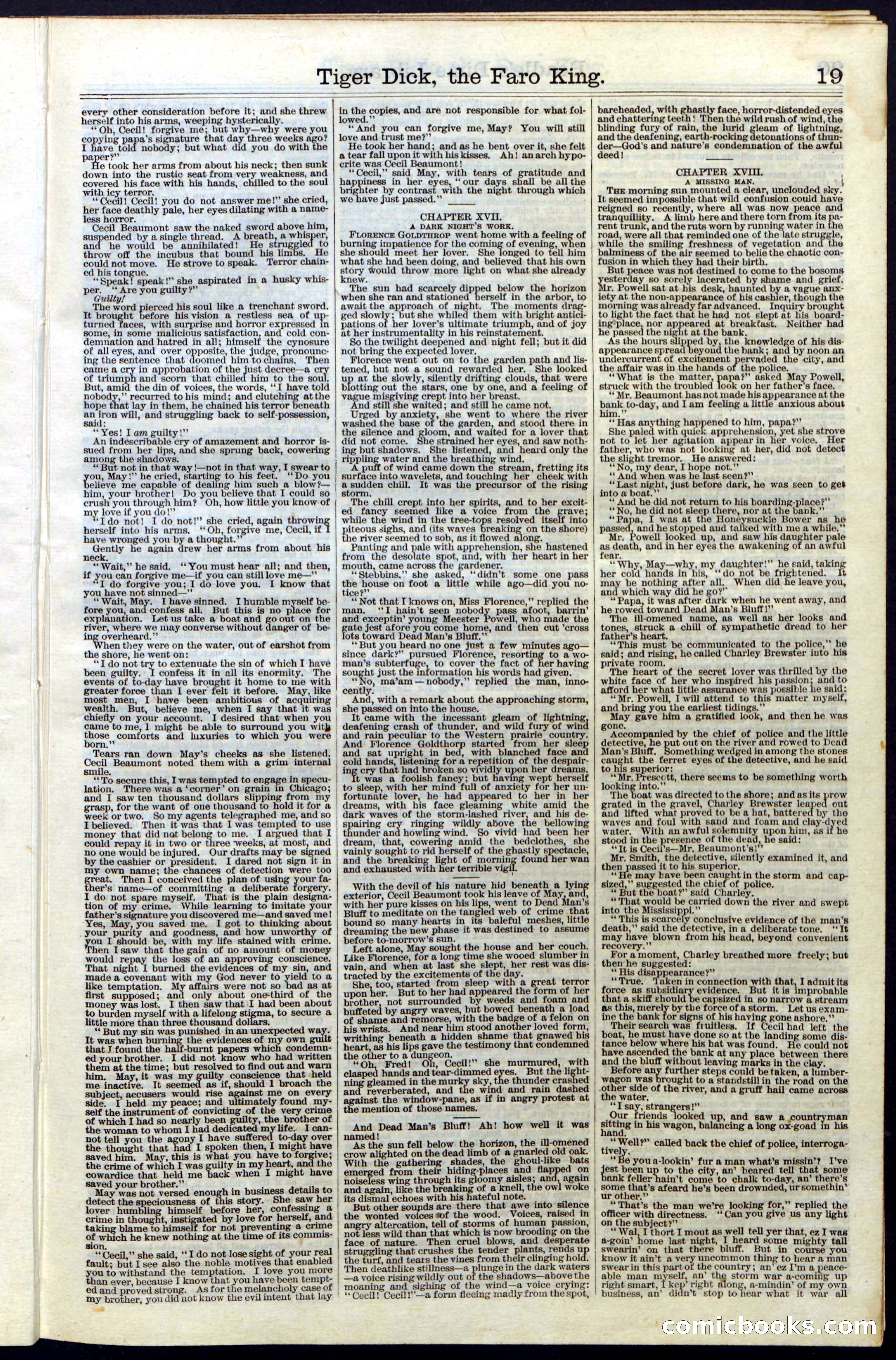 Beadle's Dime Library, Vol. III, No. 29 — page 19 of 32
