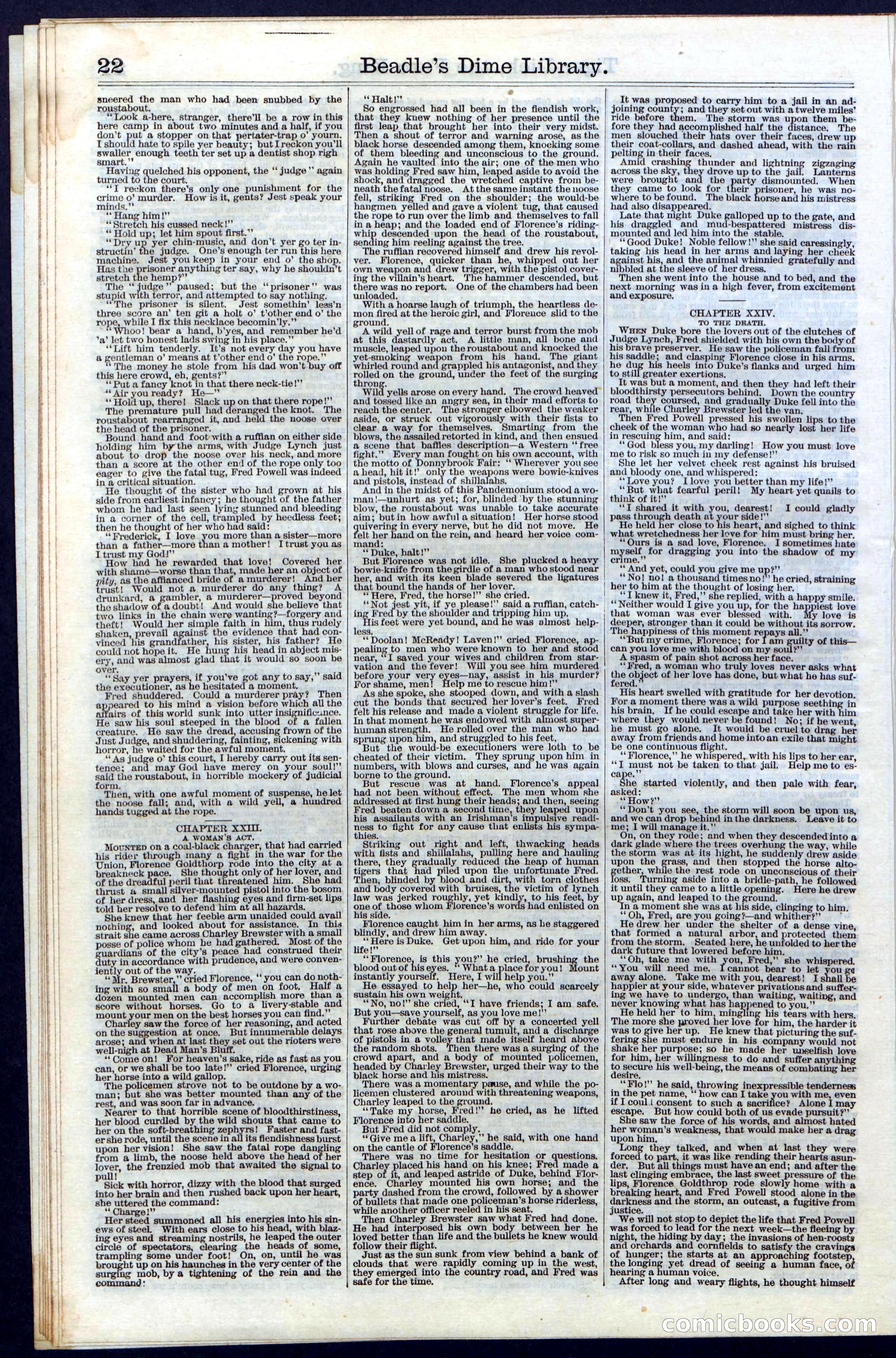 Beadle's Dime Library, Vol. III, No. 29 — page 22 of 32