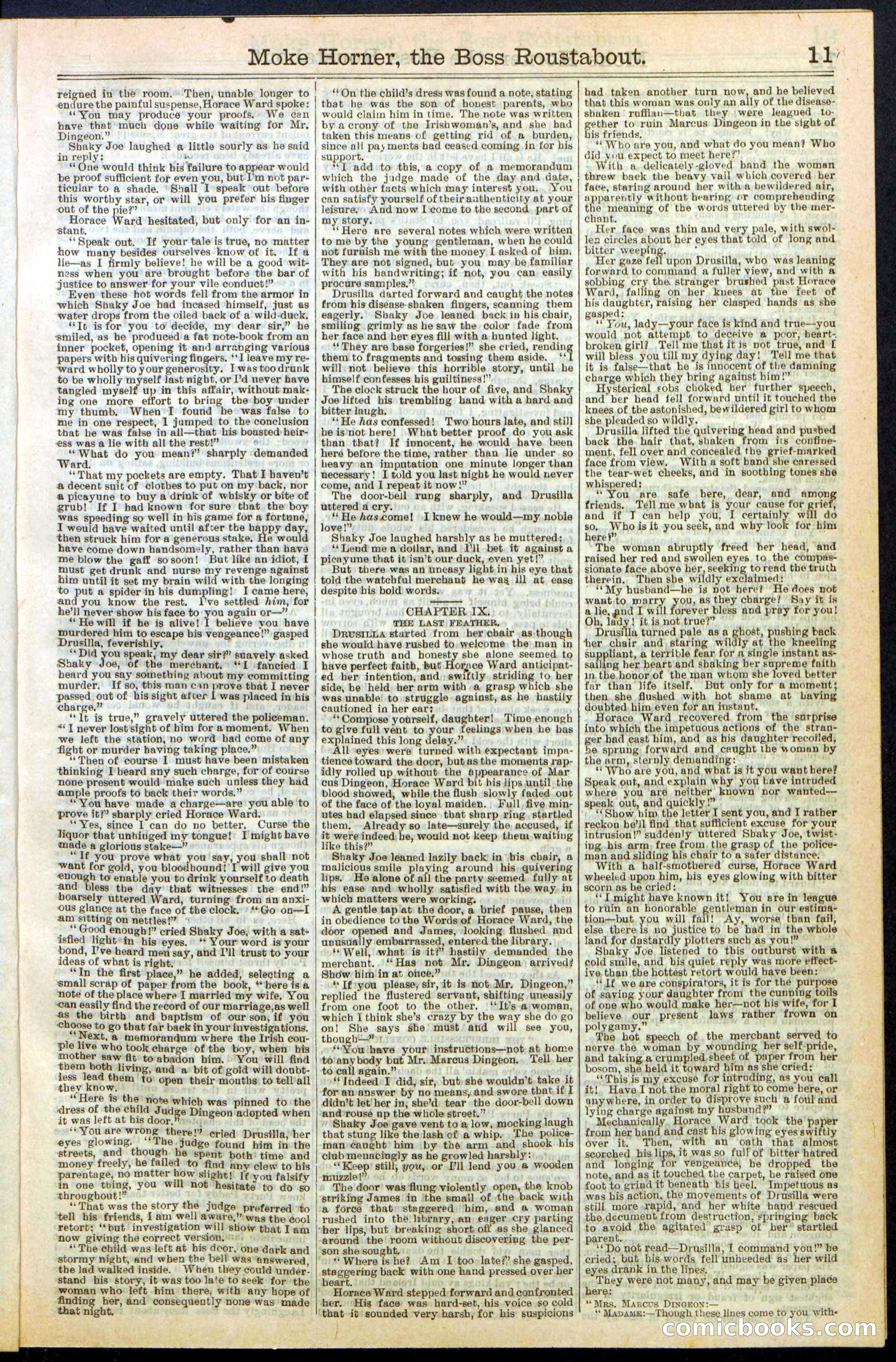 Beadle's New York Dime Library, No. 292 — page 11 of 32