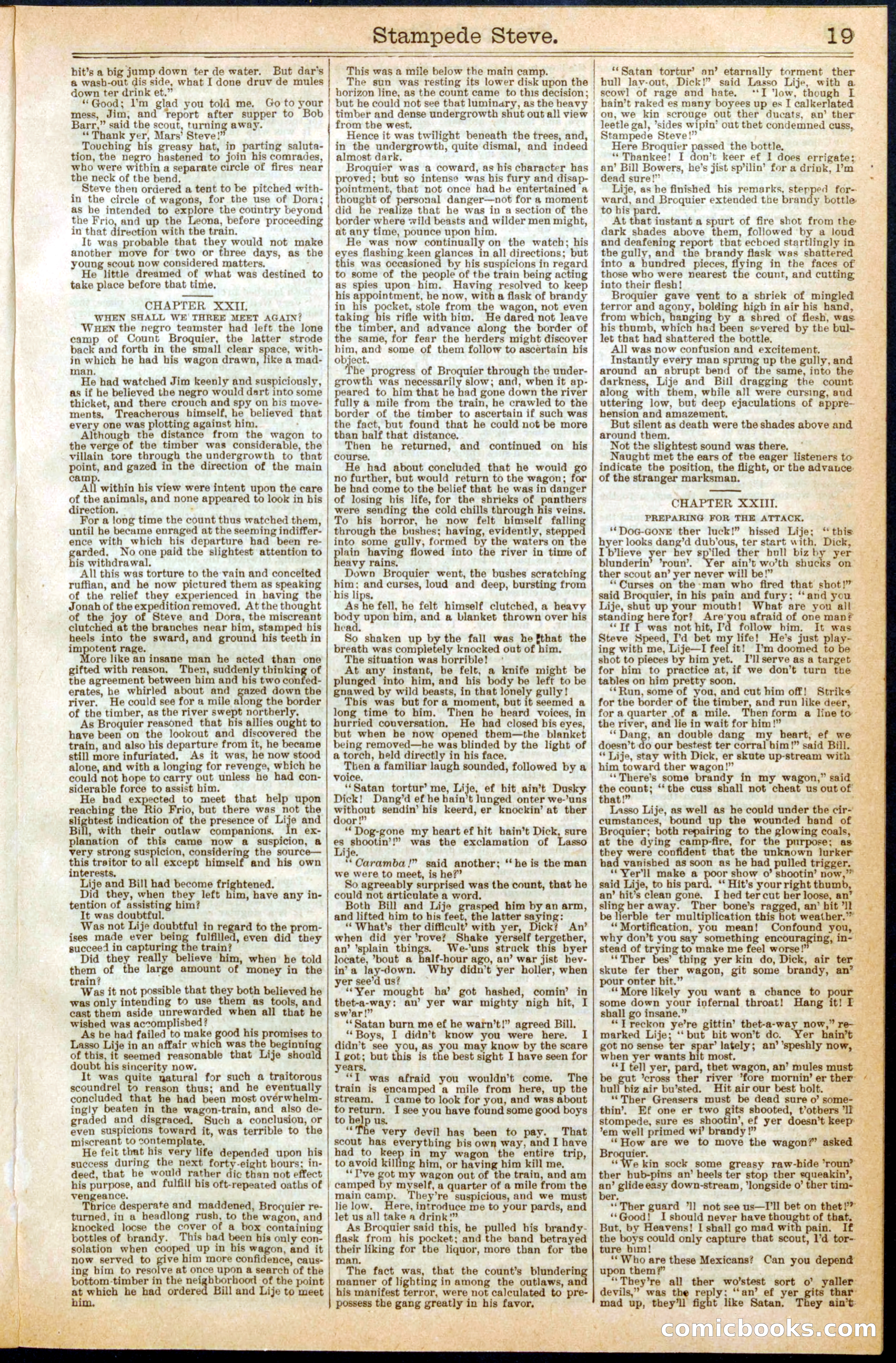 Beadle's New York Dime Library No. 293 — page 19 of 32