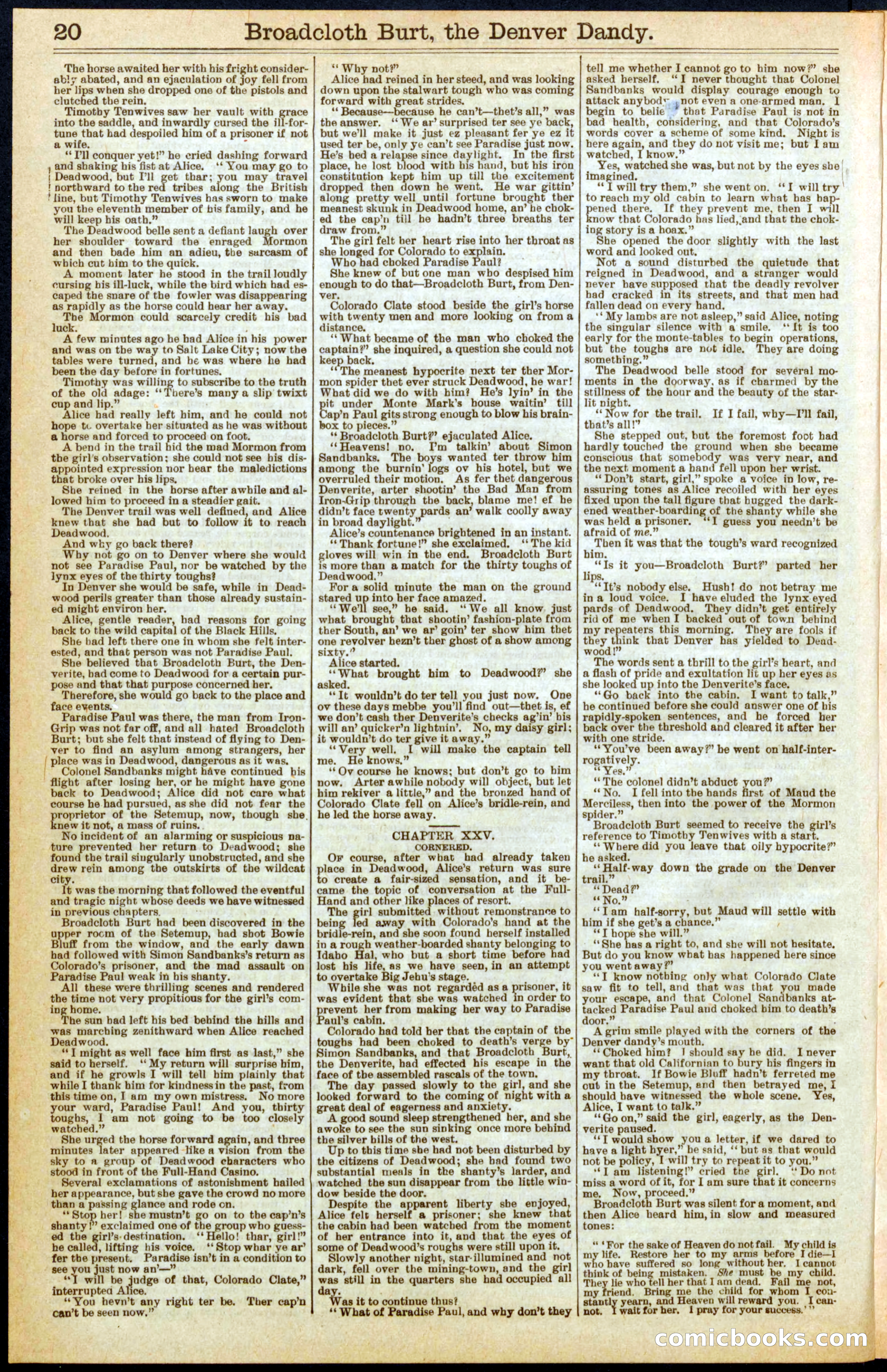 Beadle's New York Dime Library No. 294 — page 20 of 32