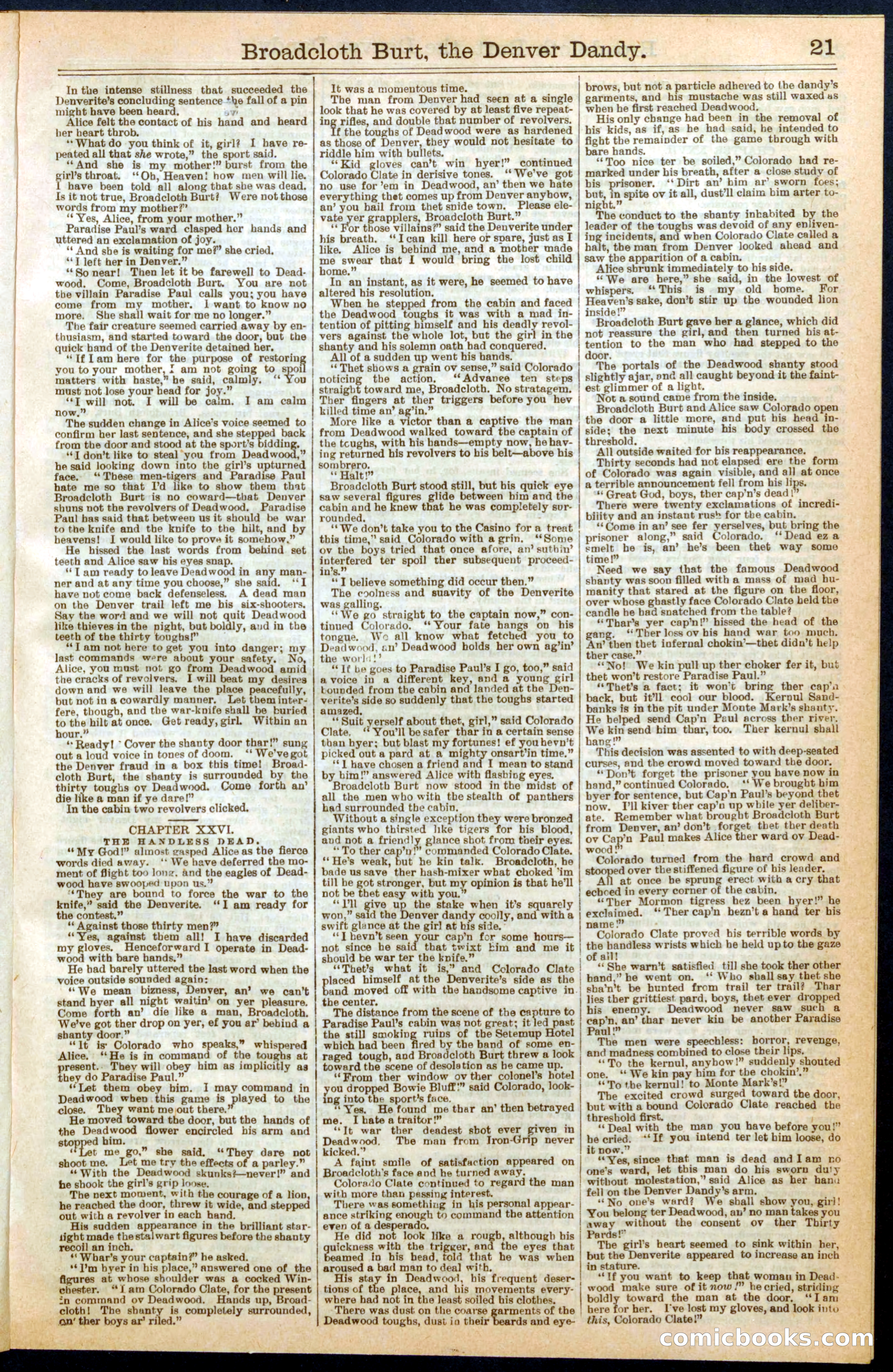 Beadle's New York Dime Library No. 294 — page 21 of 32