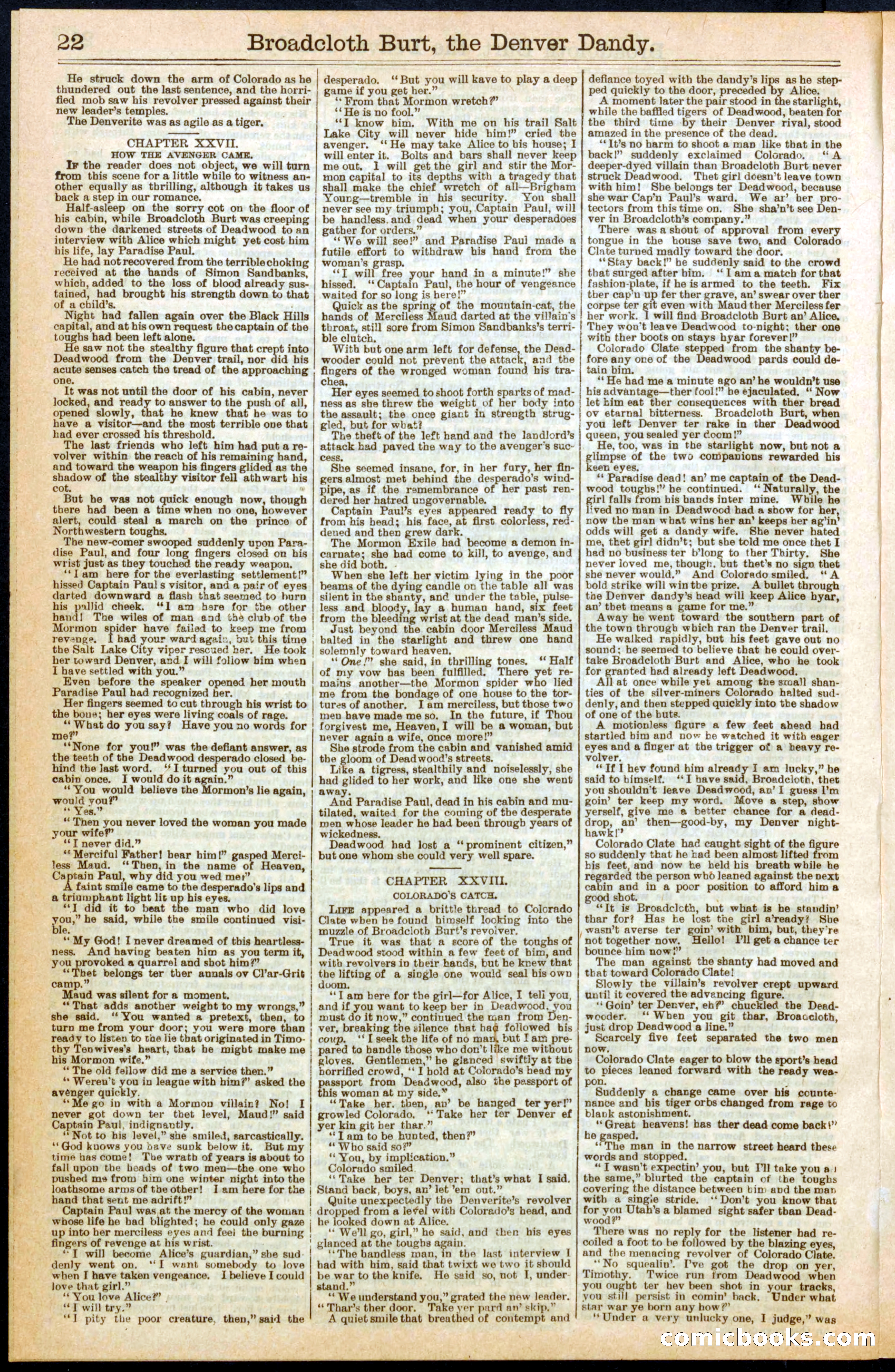 Beadle's New York Dime Library No. 294 — page 22 of 32