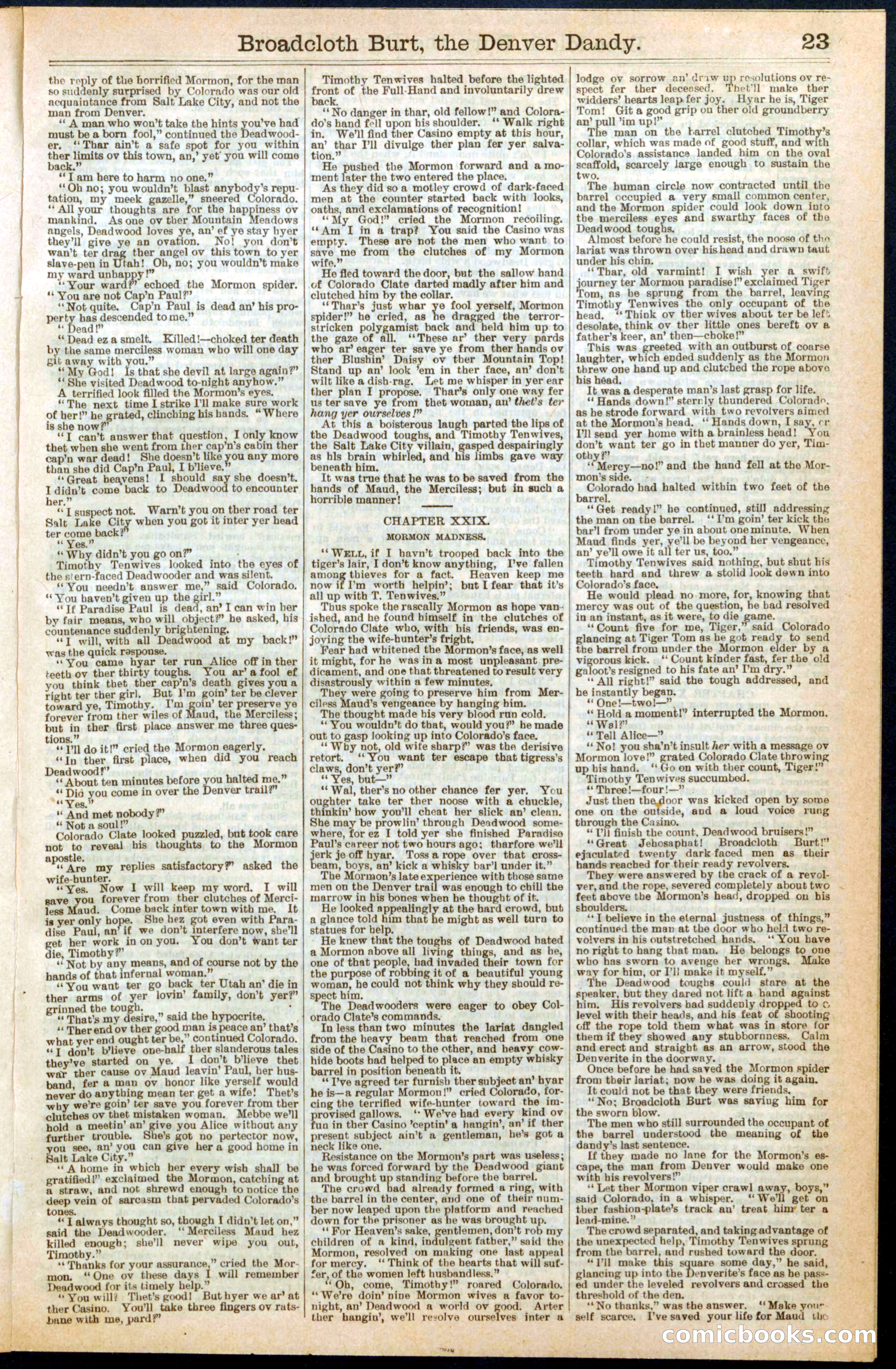Beadle's New York Dime Library No. 294 — page 23 of 32