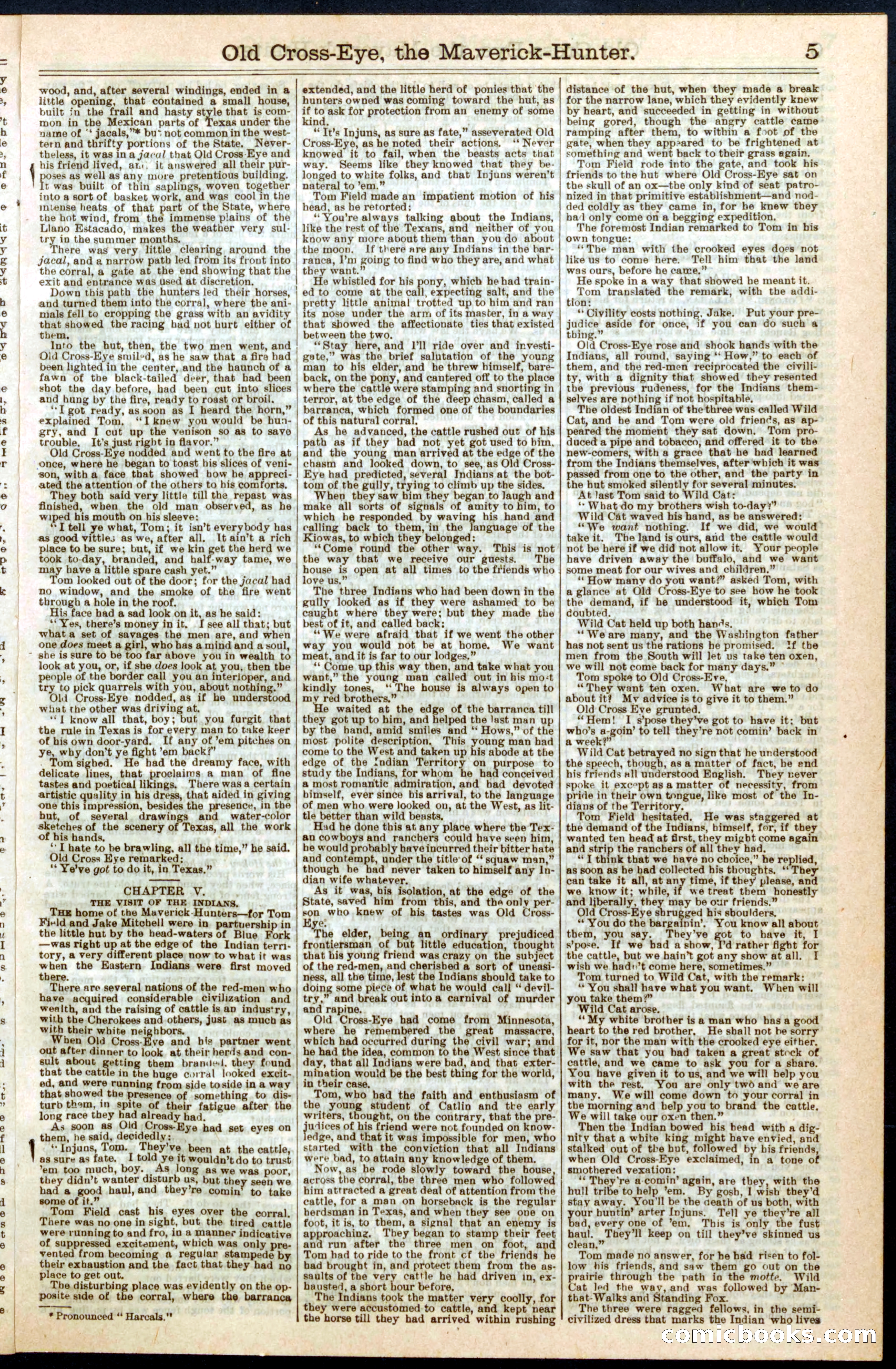 Beadle's New York Dime Library, No. 295 — page 5 of 32
