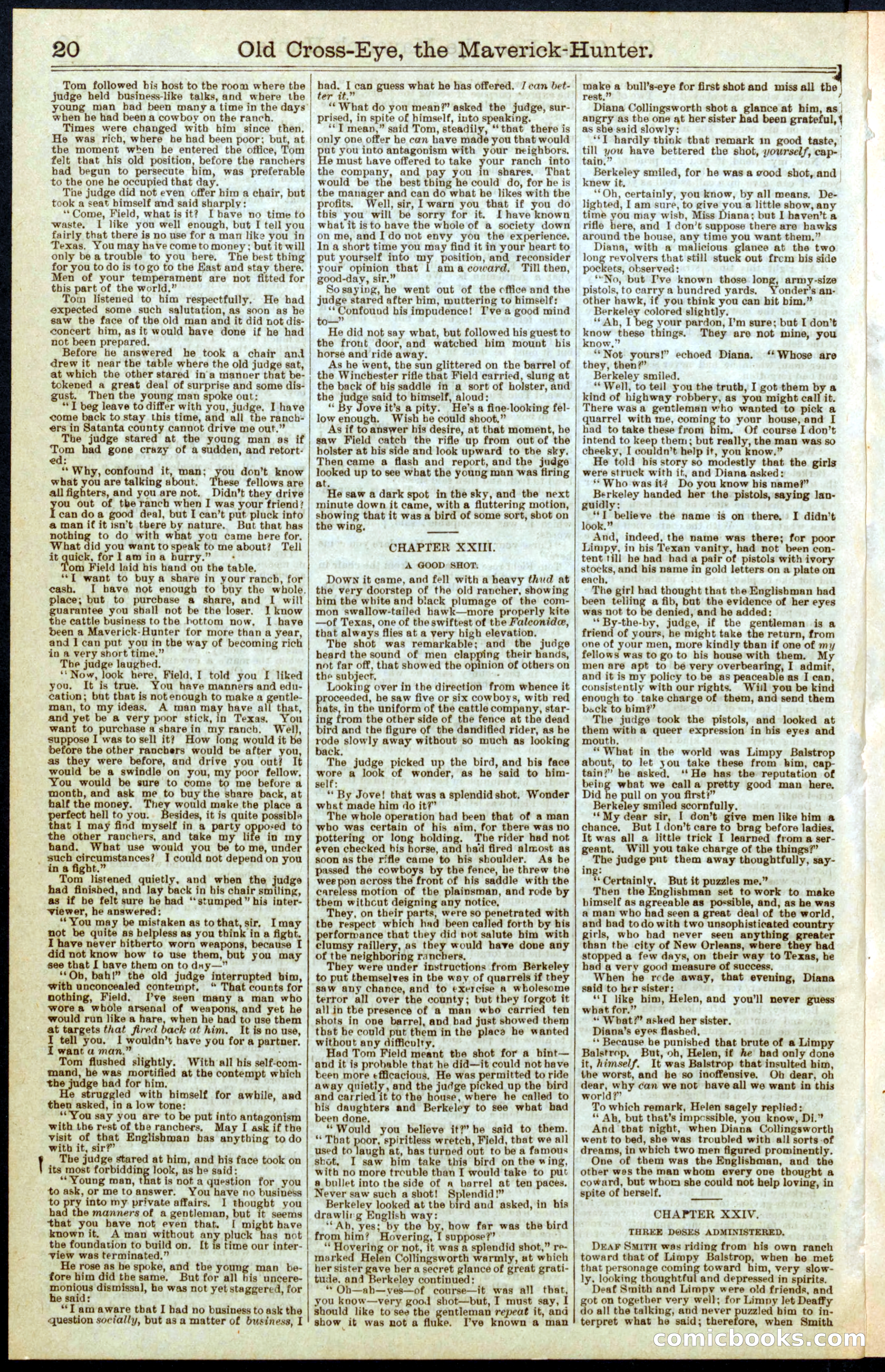 Beadle's New York Dime Library, No. 295 — page 20 of 32