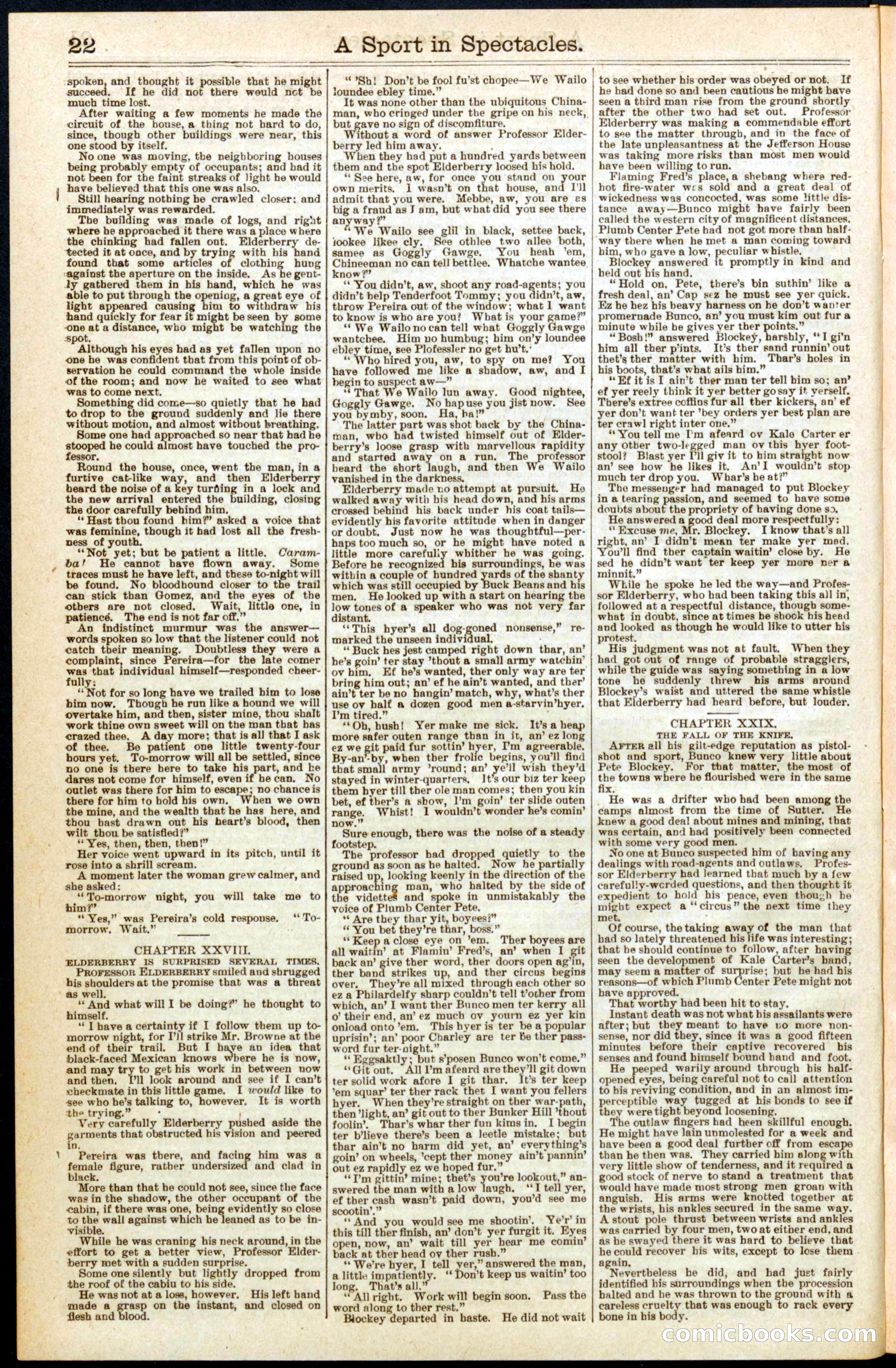 Beadle's New York Dime Library No. 300 — page 22 of 32