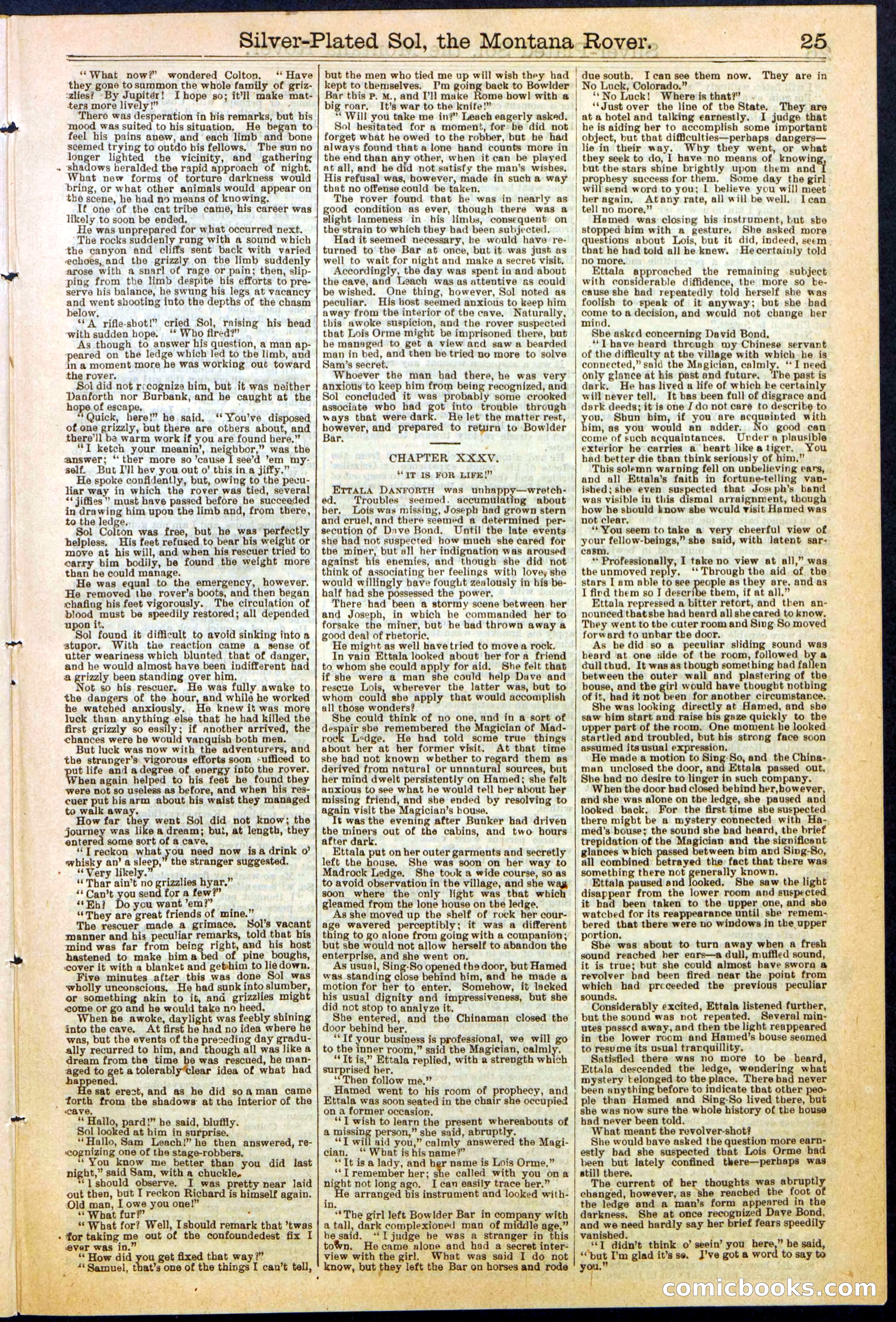 Beadle's Dime Library No. 305 — page 25 of 32
