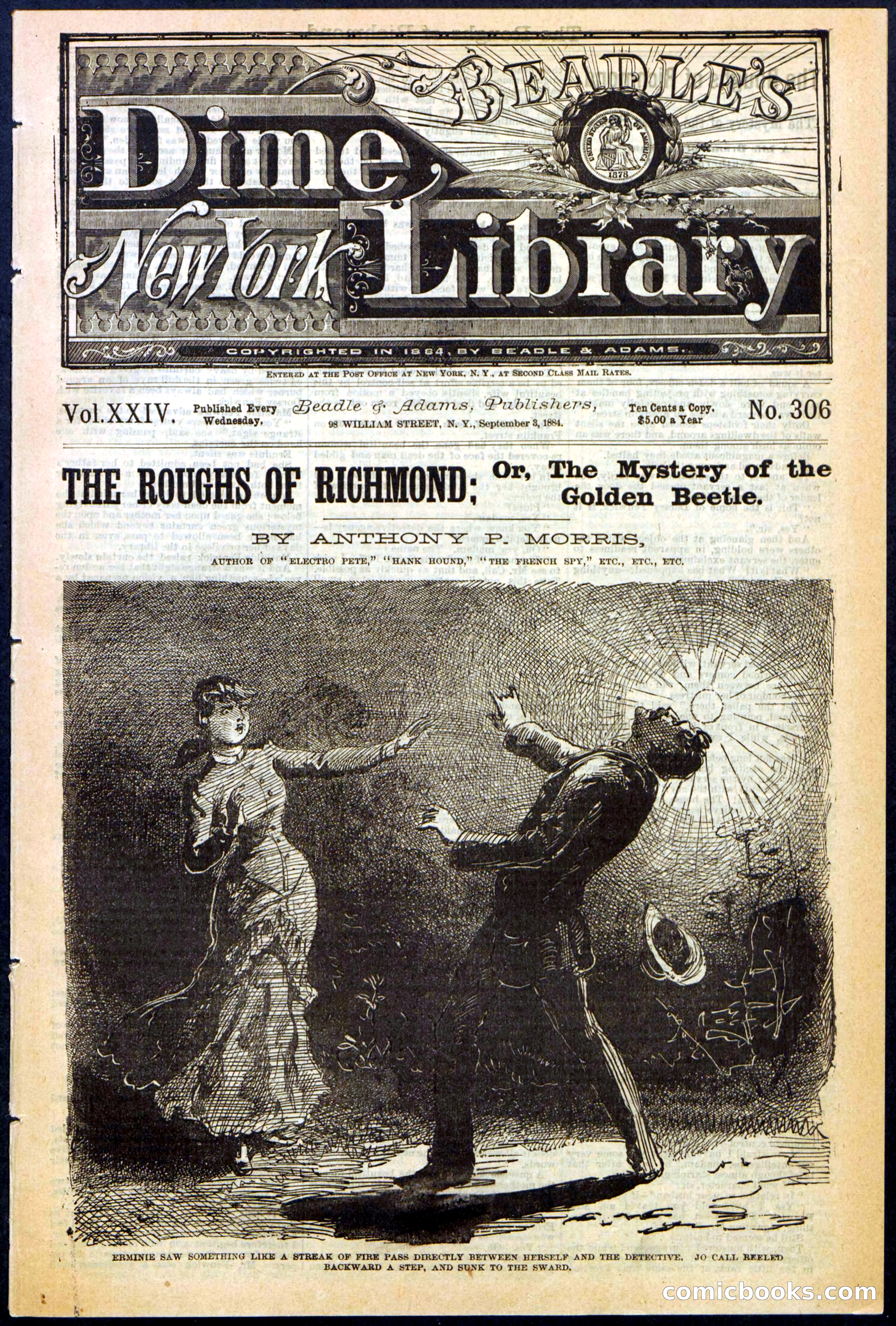 Beadle's New York Dime Library, No. 306 — page 1 of 24