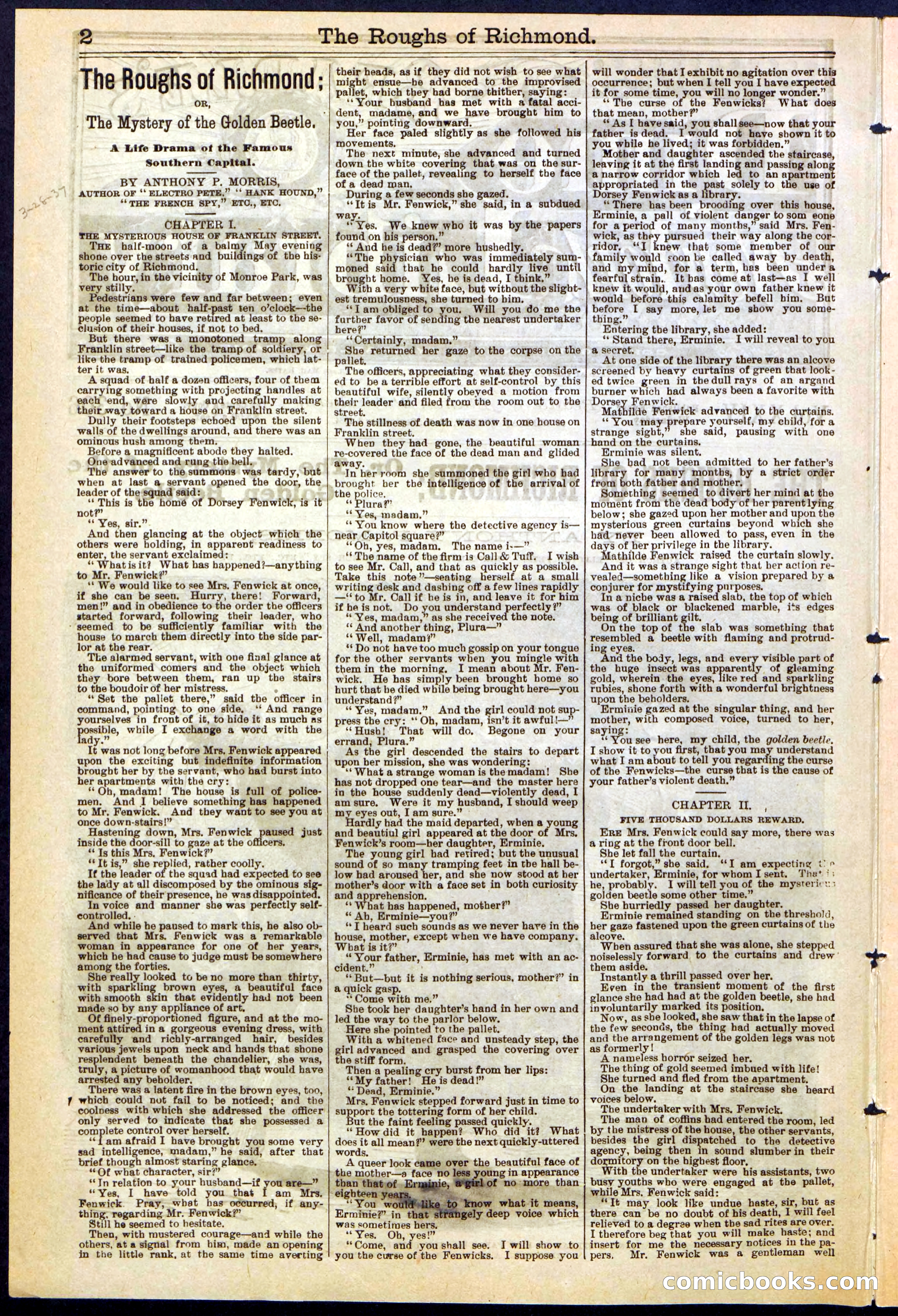 Beadle's New York Dime Library, No. 306 — page 2 of 24