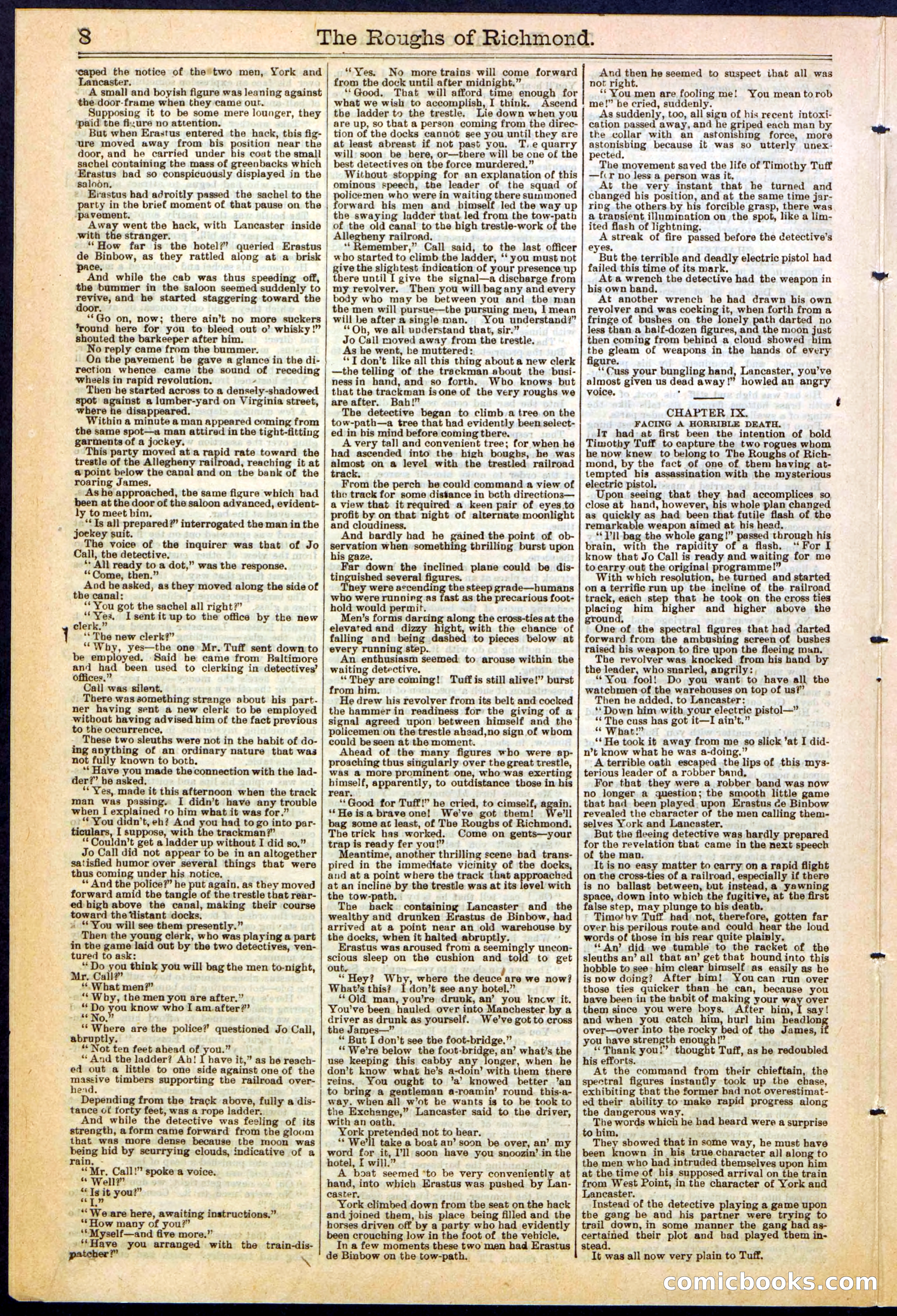 Beadle's New York Dime Library, No. 306 — page 8 of 24