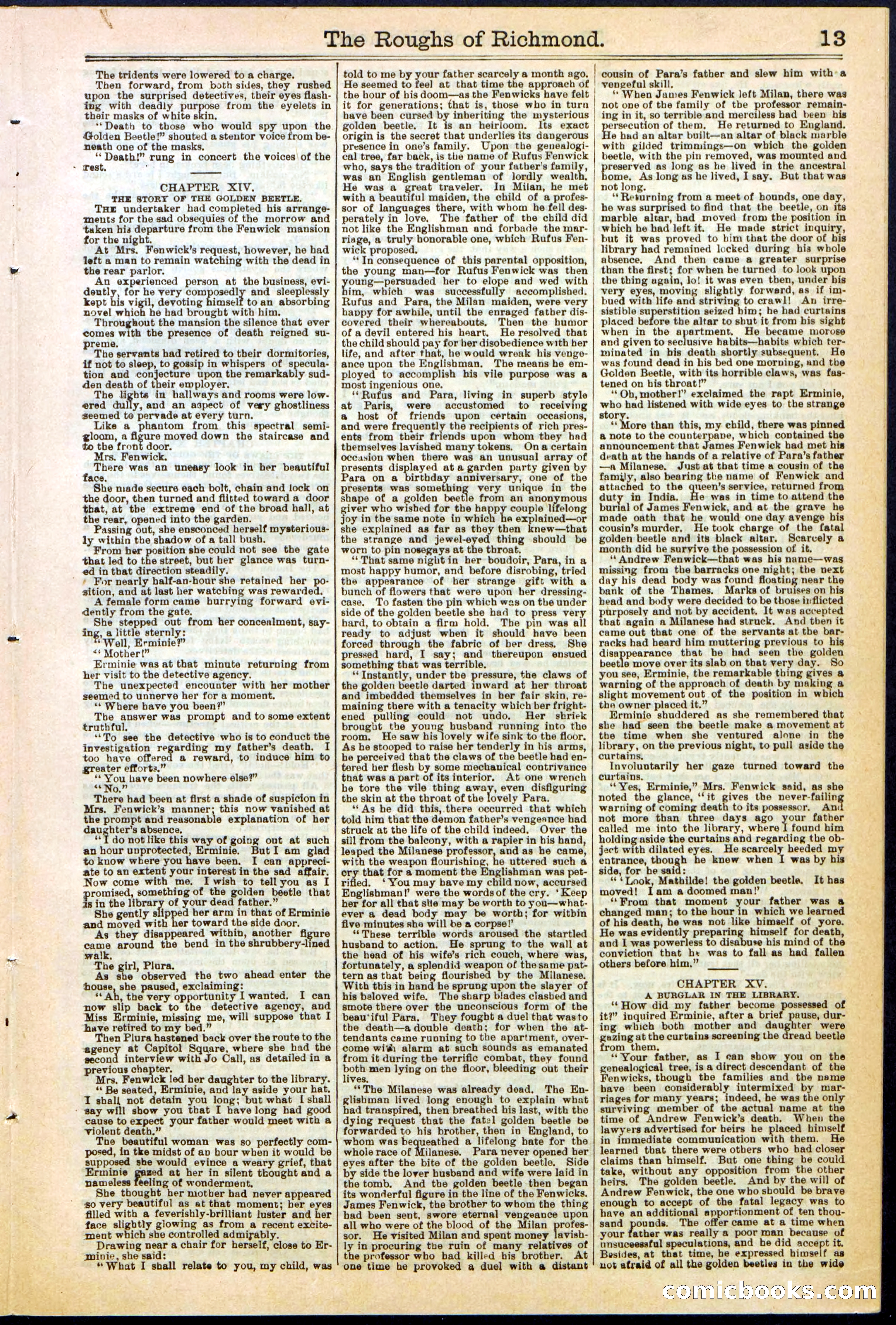 Beadle's New York Dime Library, No. 306 — page 13 of 24