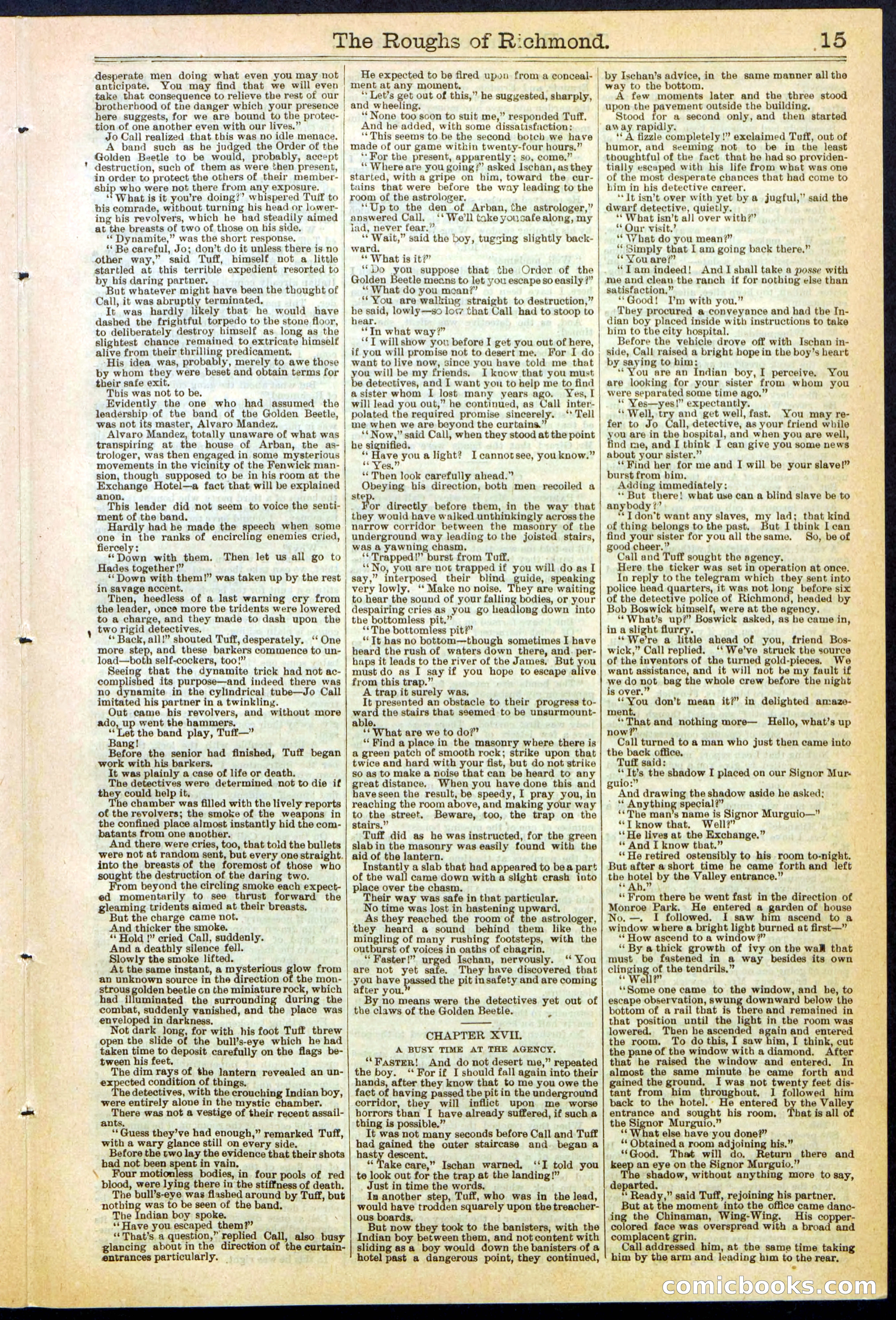 Beadle's New York Dime Library, No. 306 — page 15 of 24
