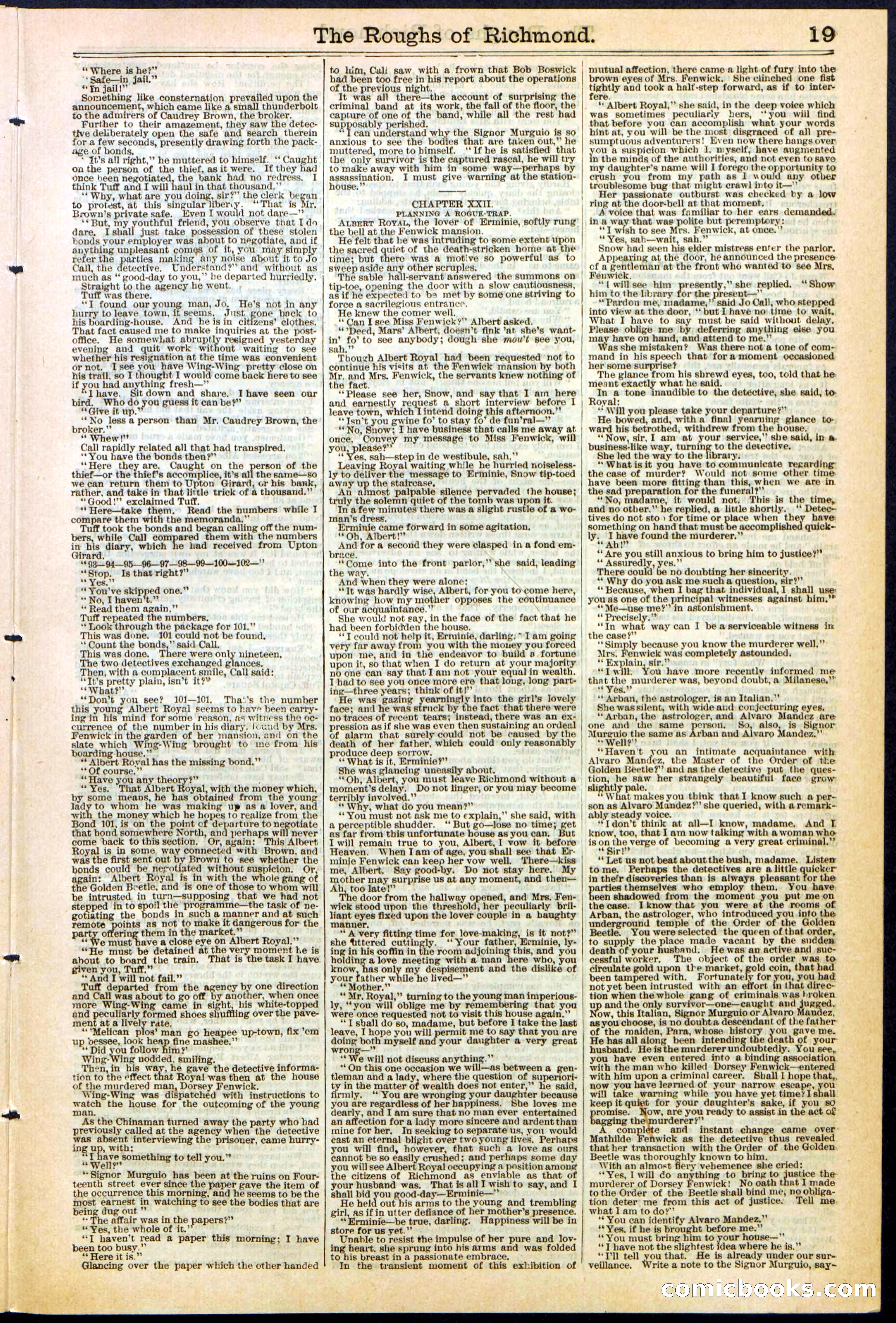 Beadle's New York Dime Library, No. 306 — page 19 of 24