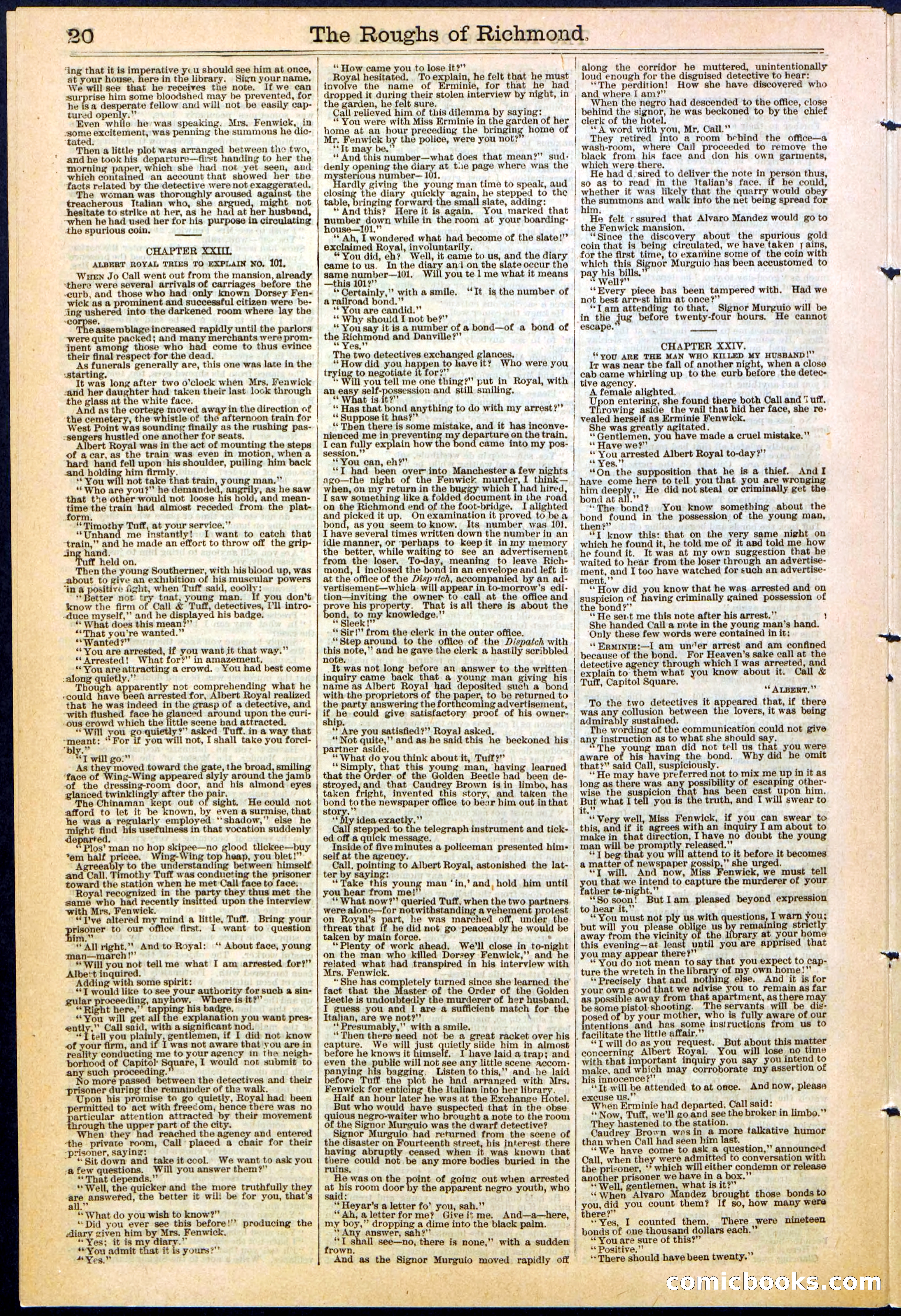 Beadle's New York Dime Library, No. 306 — page 20 of 24