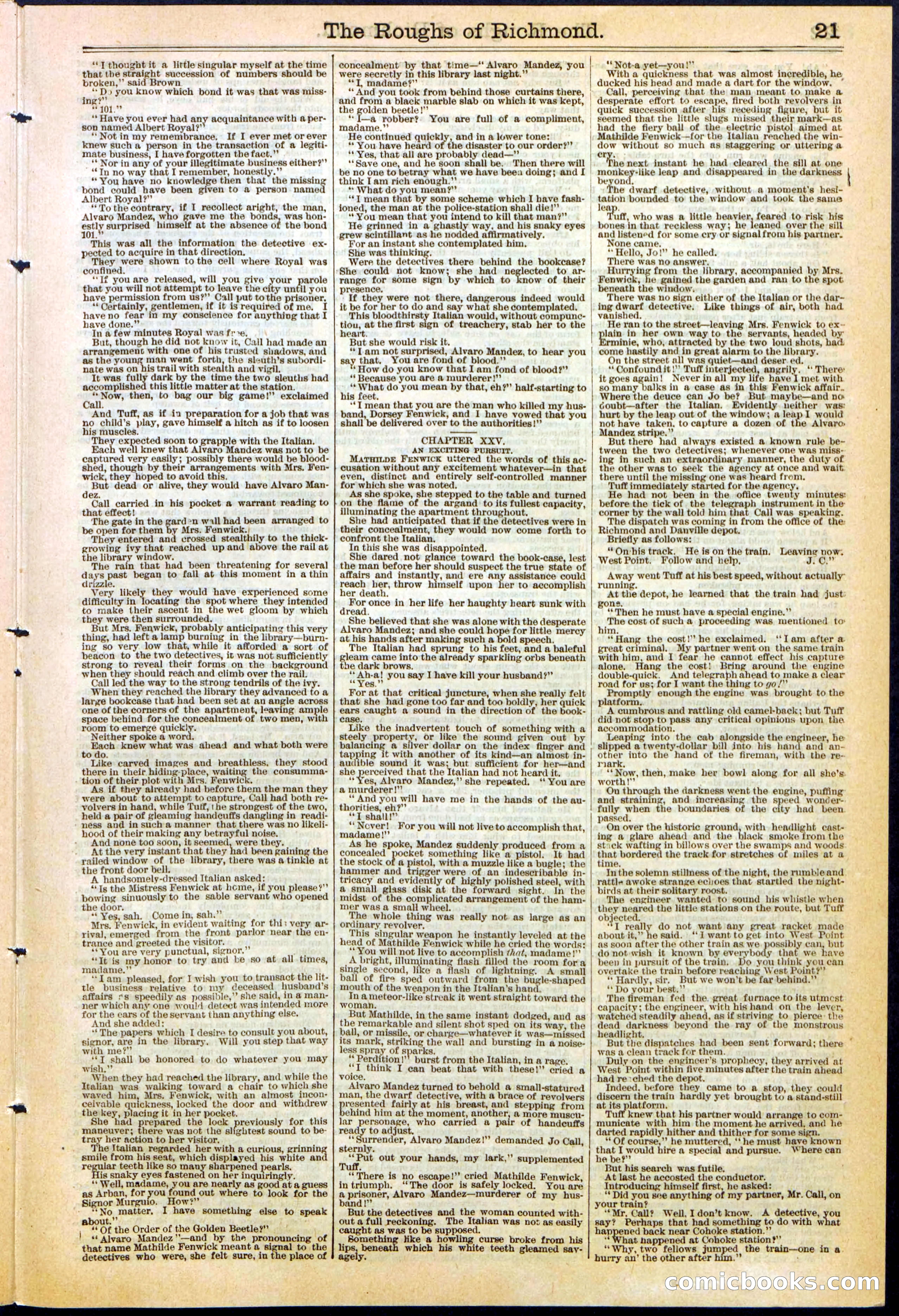 Beadle's New York Dime Library, No. 306 — page 21 of 24