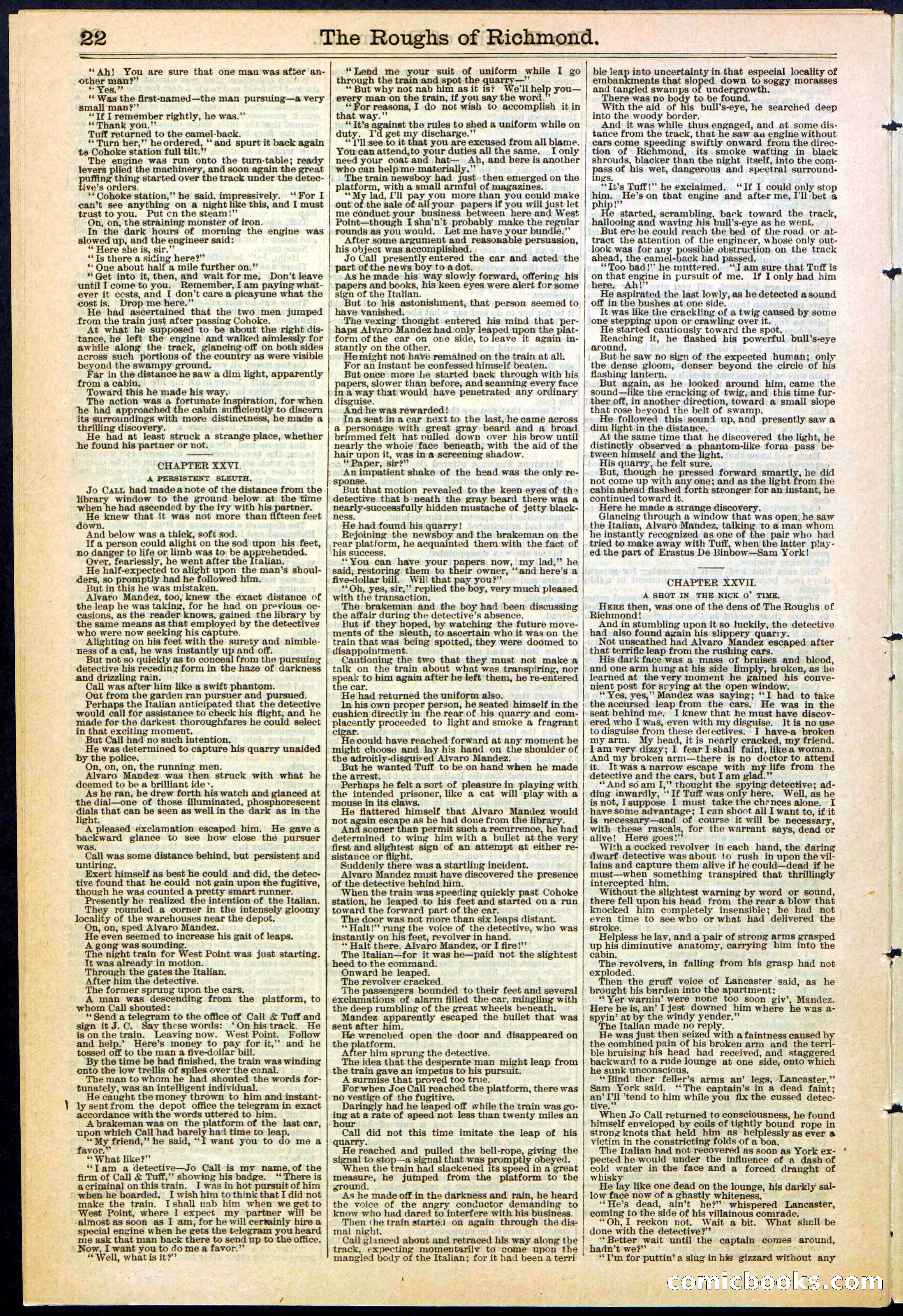 Beadle's New York Dime Library, No. 306 — page 22 of 24