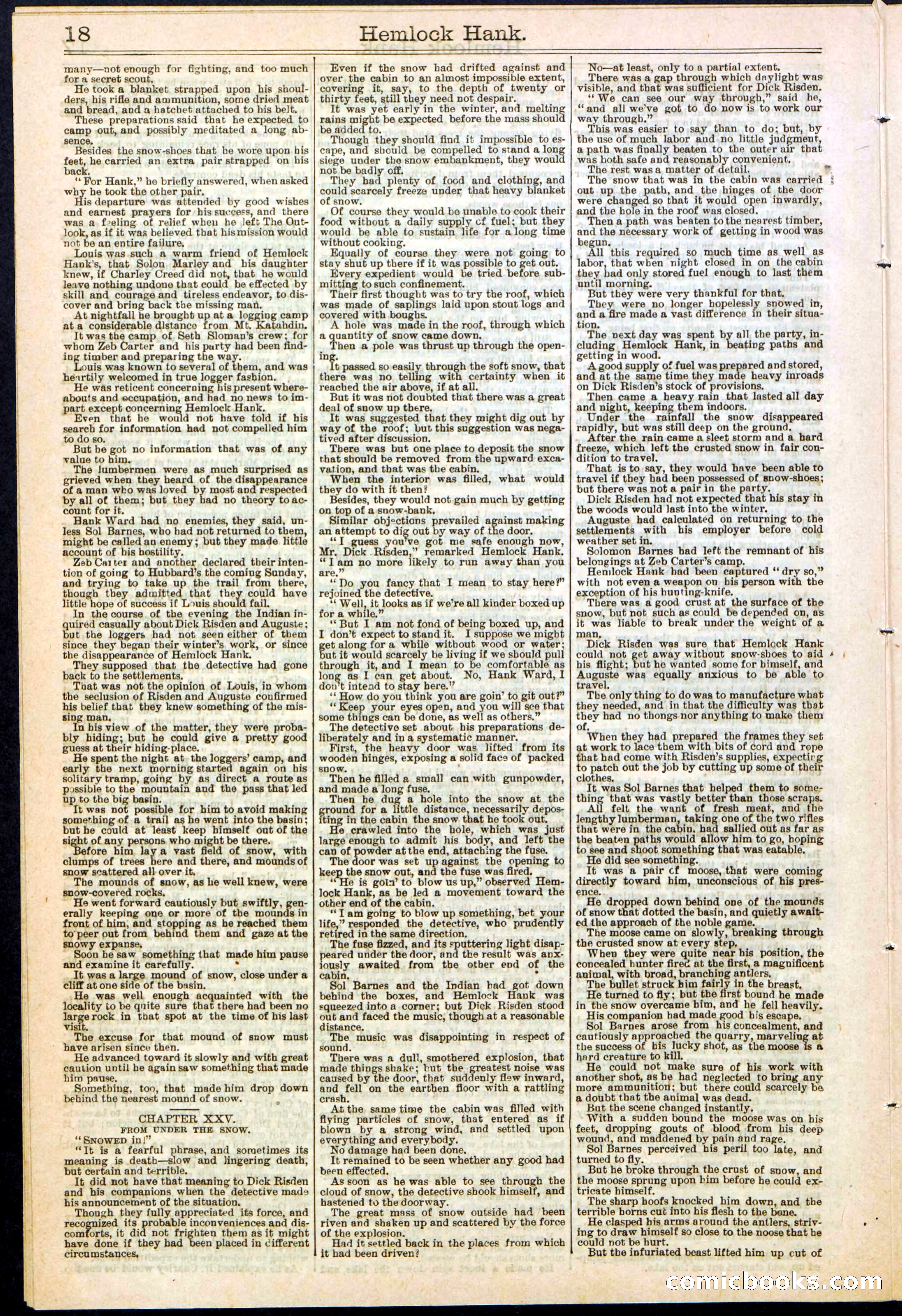 Beadle's New York Dime Library No. 308 — page 18 of 32