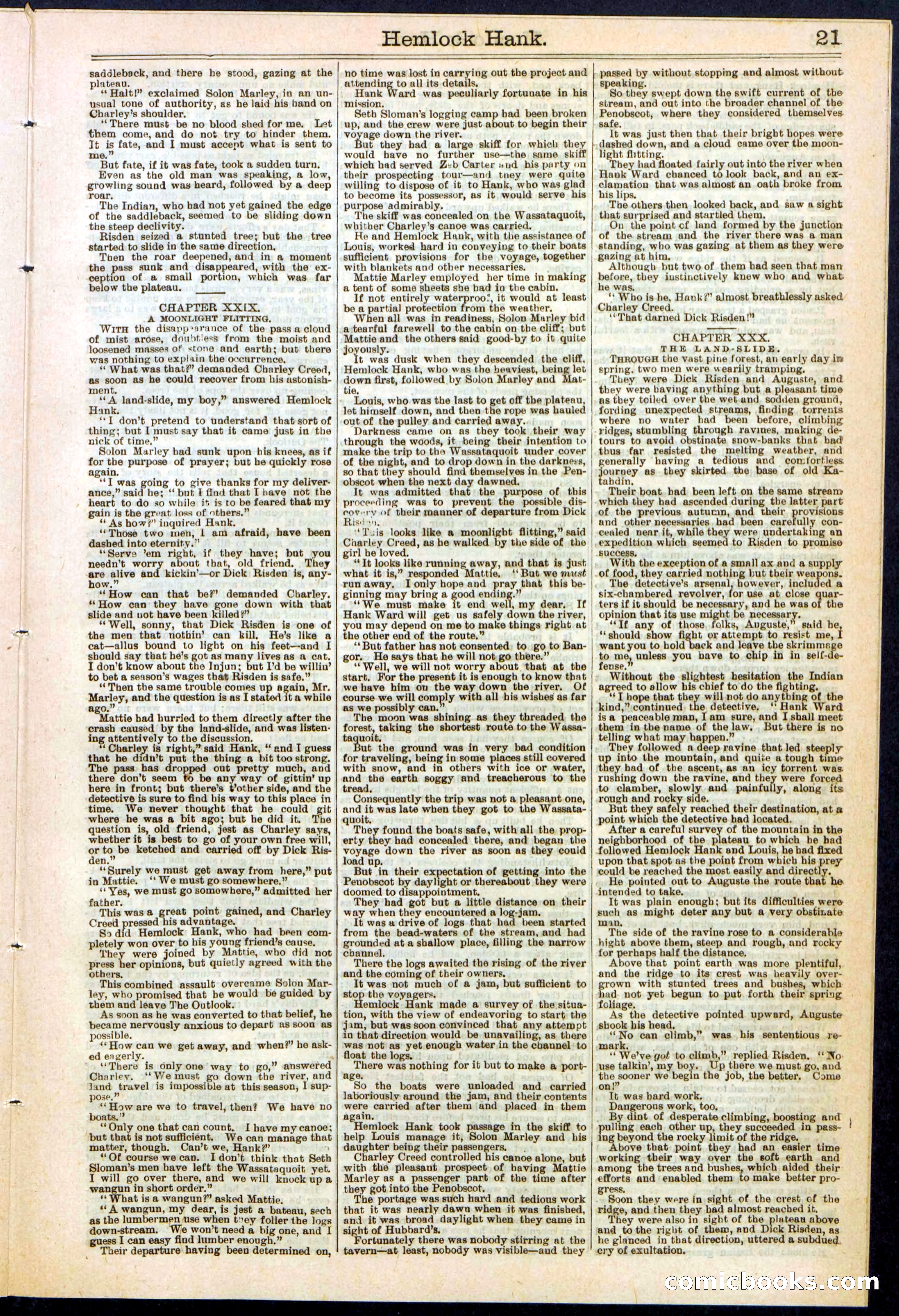 Beadle's New York Dime Library No. 308 — page 21 of 32