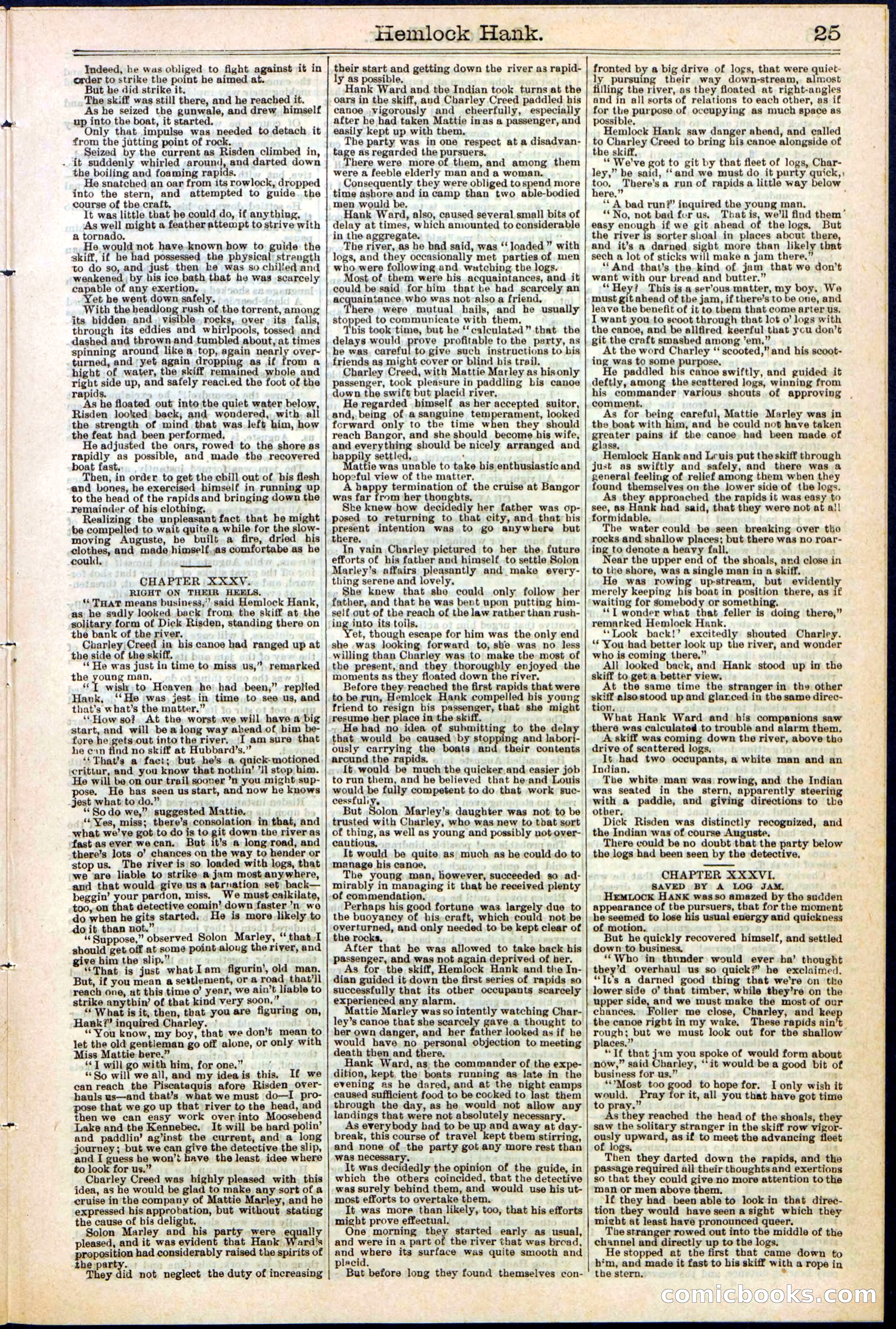 Beadle's New York Dime Library No. 308 — page 25 of 32