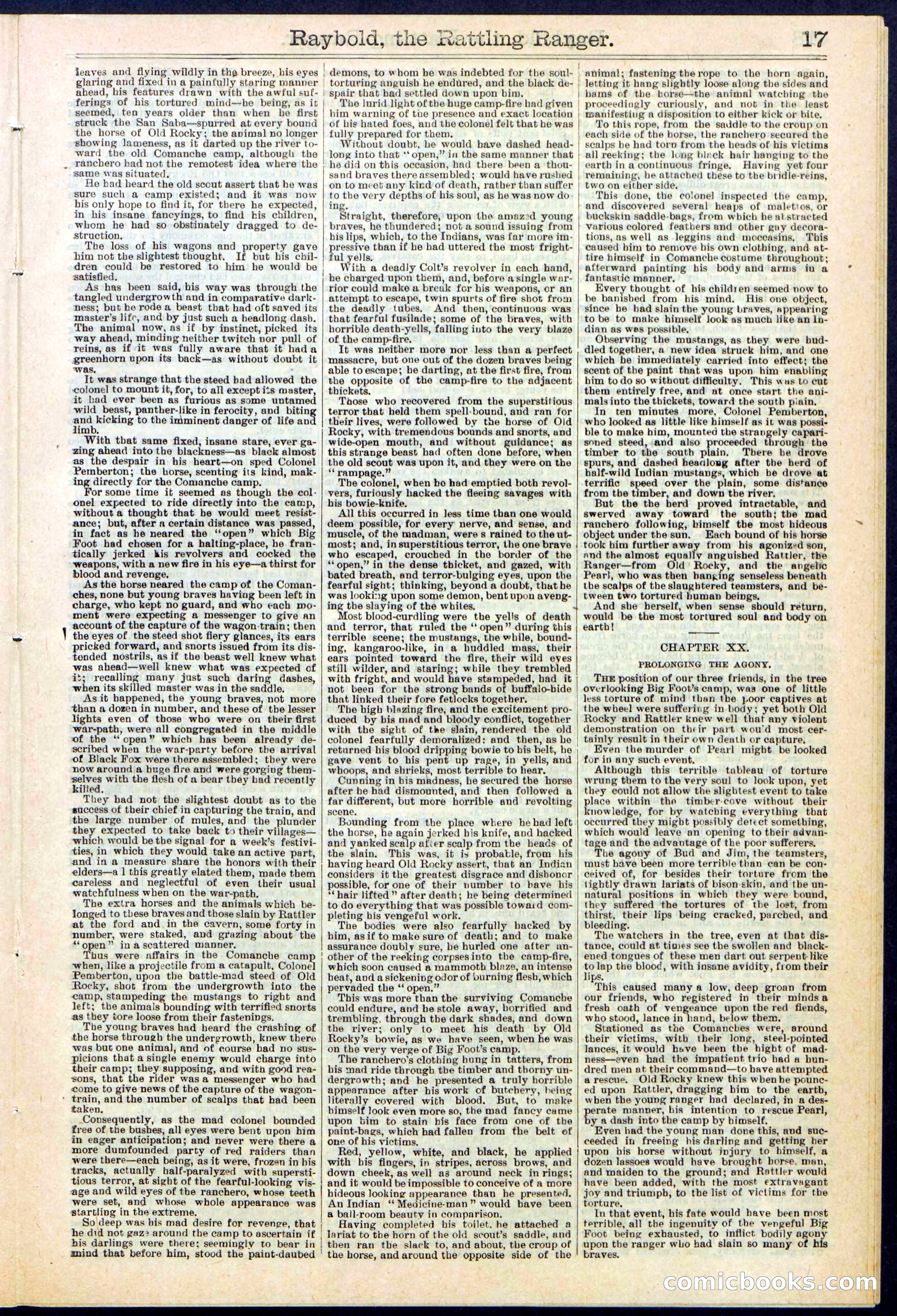 Beadle's Dime Library No. 309 — page 17 of 32