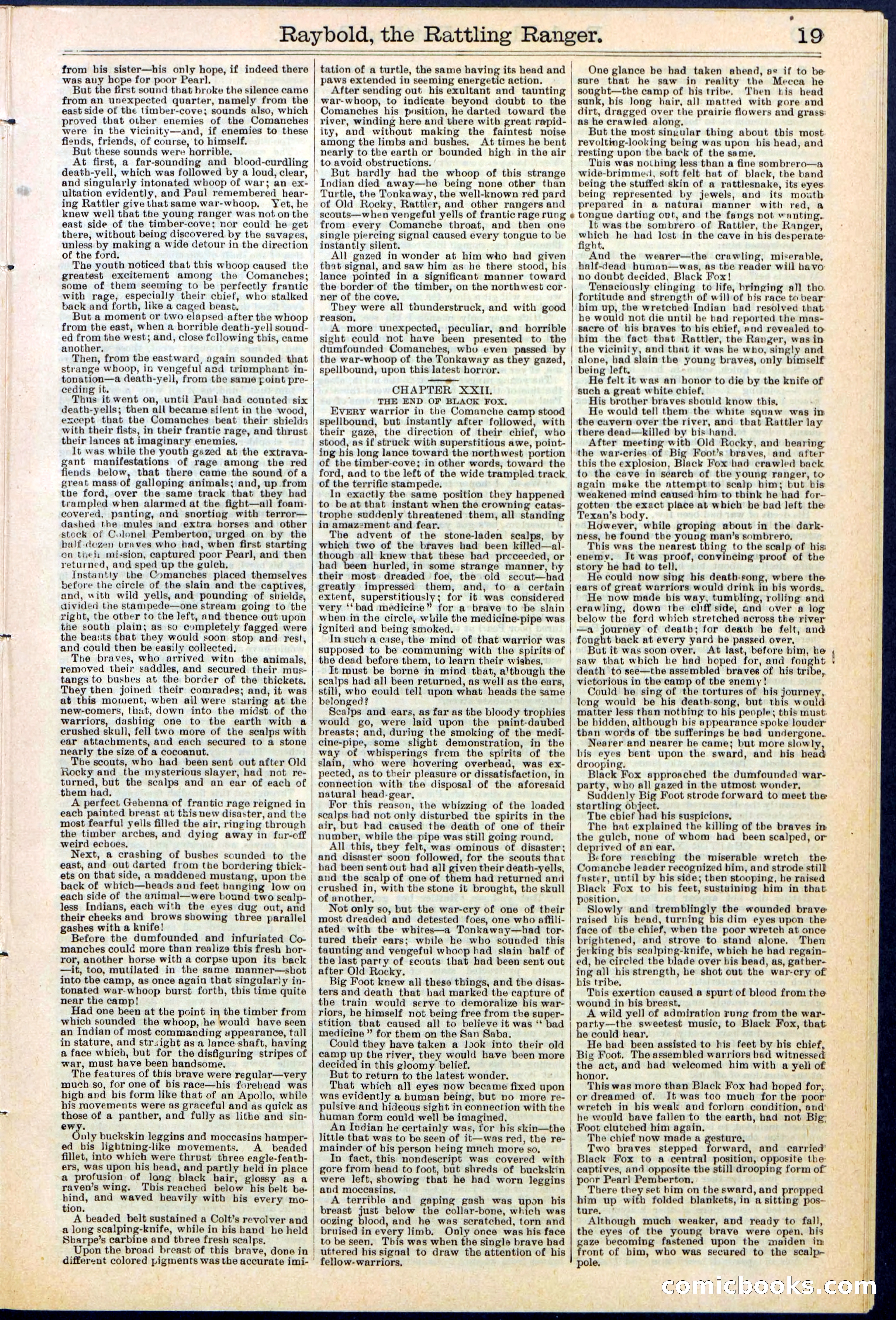 Beadle's Dime Library No. 309 — page 19 of 32