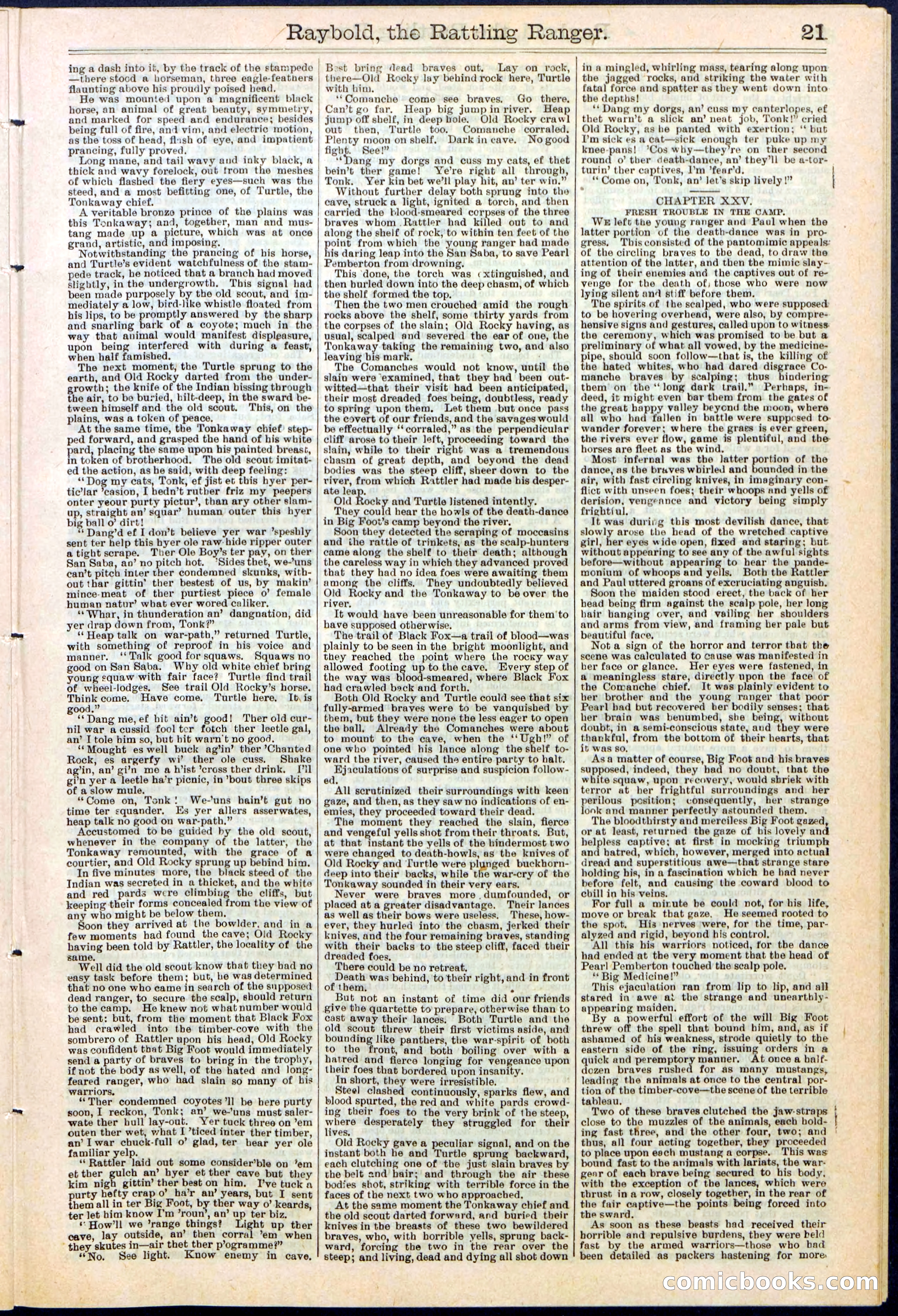Beadle's Dime Library No. 309 — page 21 of 32