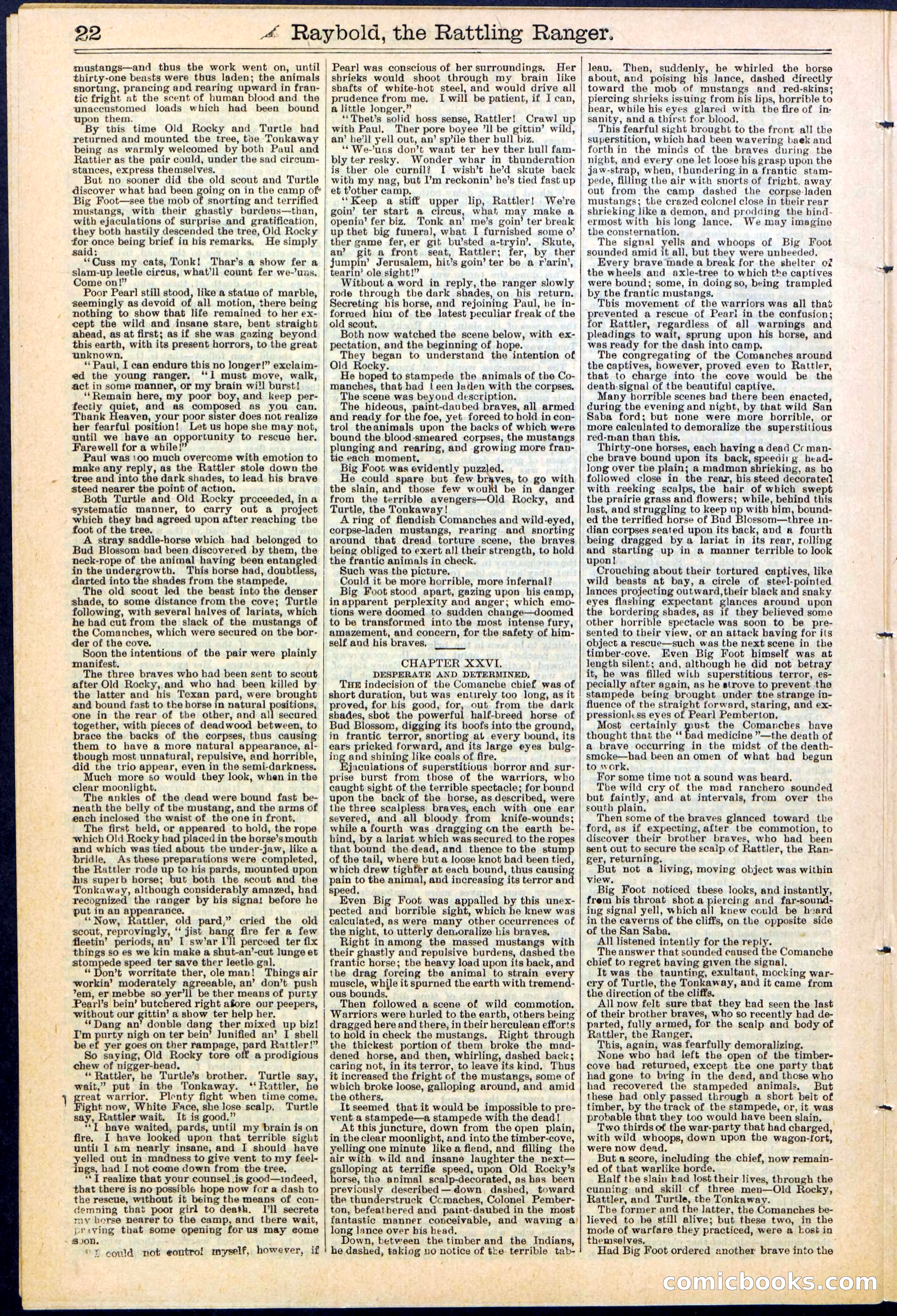 Beadle's Dime Library No. 309 — page 22 of 32