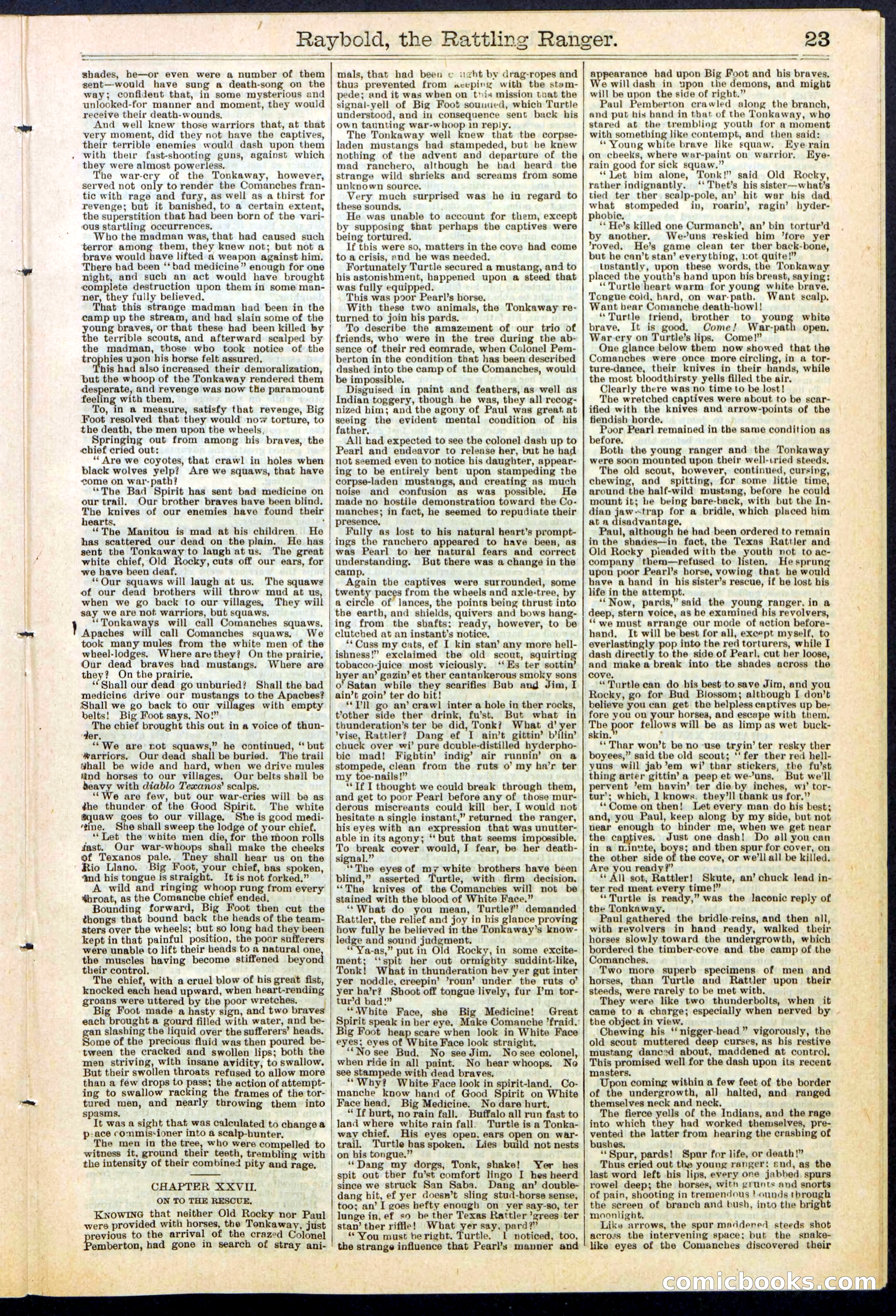 Beadle's Dime Library No. 309 — page 23 of 32