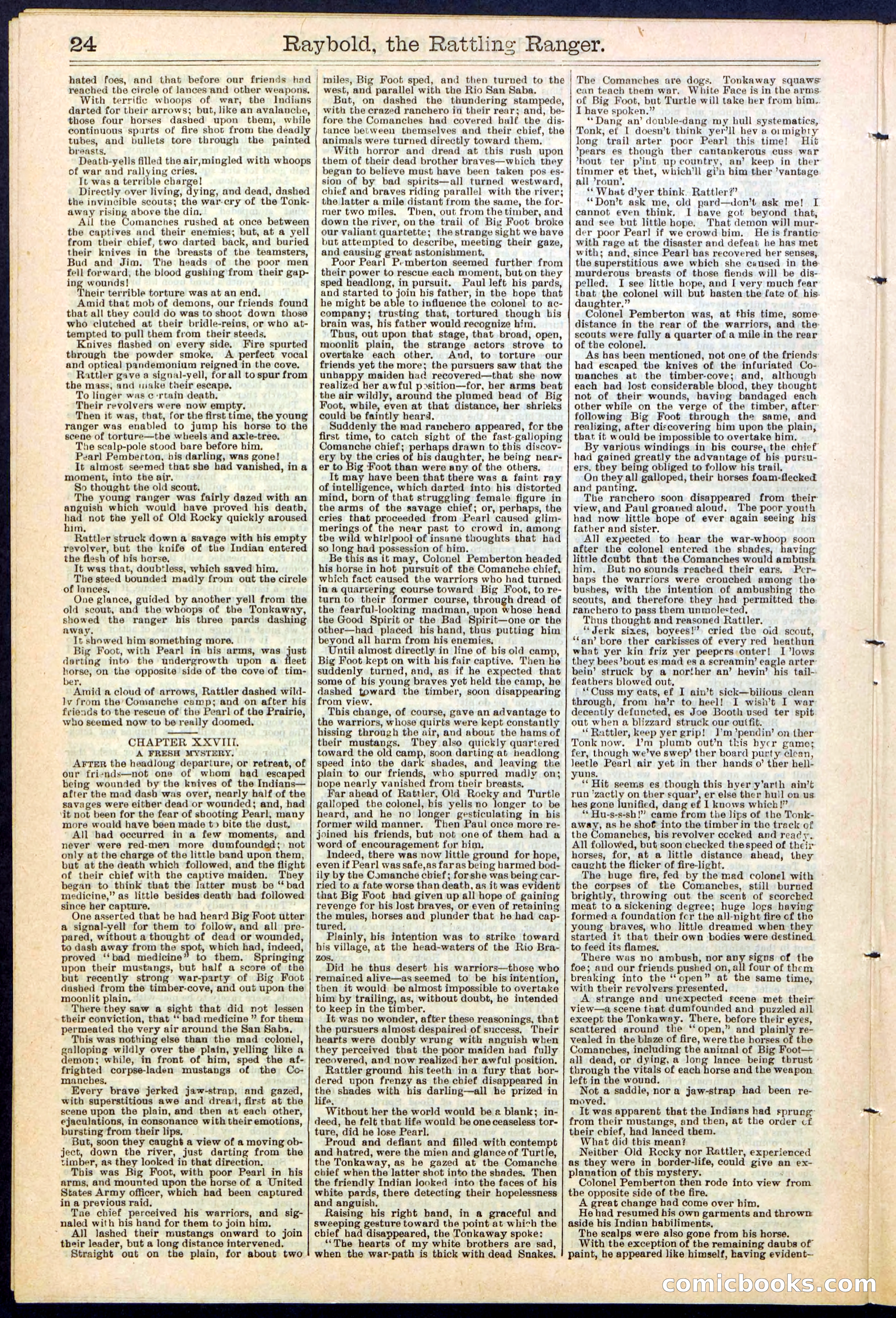 Beadle's Dime Library No. 309 — page 24 of 32
